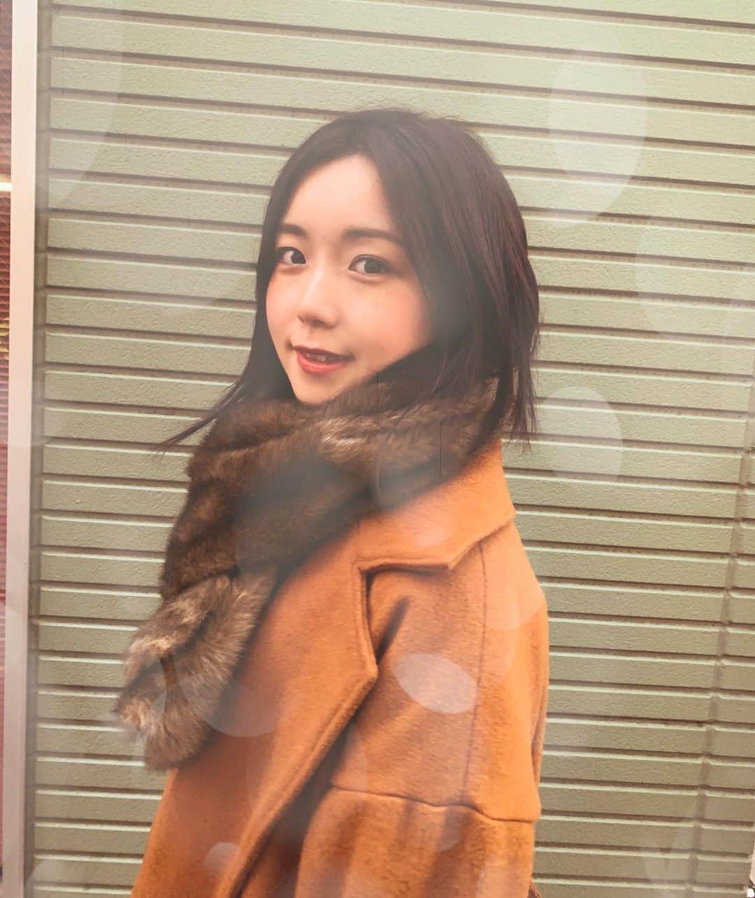 葉山柚子さんのインスタグラム写真 - (葉山柚子Instagram)「たぬきマフラー🧣みつけた👀 #冬ですね #❄️」12月6日 16時39分 - hayama_yuko