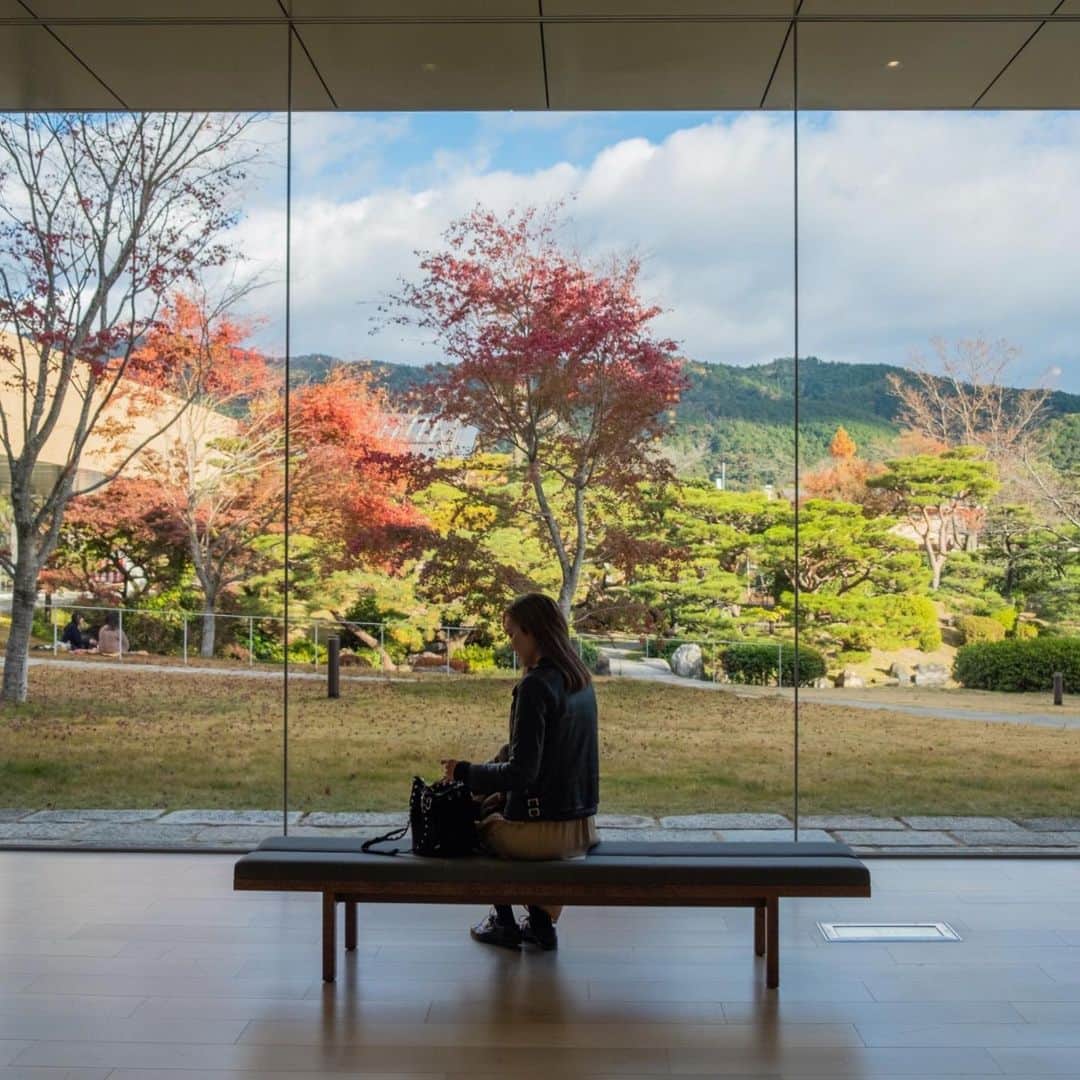 のインスタグラム：「京都の #紅葉 に間に合ったー🍁🍂 #京セラ美術館 から眺める紅葉が好きでした。 (室内だから寒くないしね。←超寒がり。) #京都市京セラ美術館 #kyotocitykyoceramuseum」