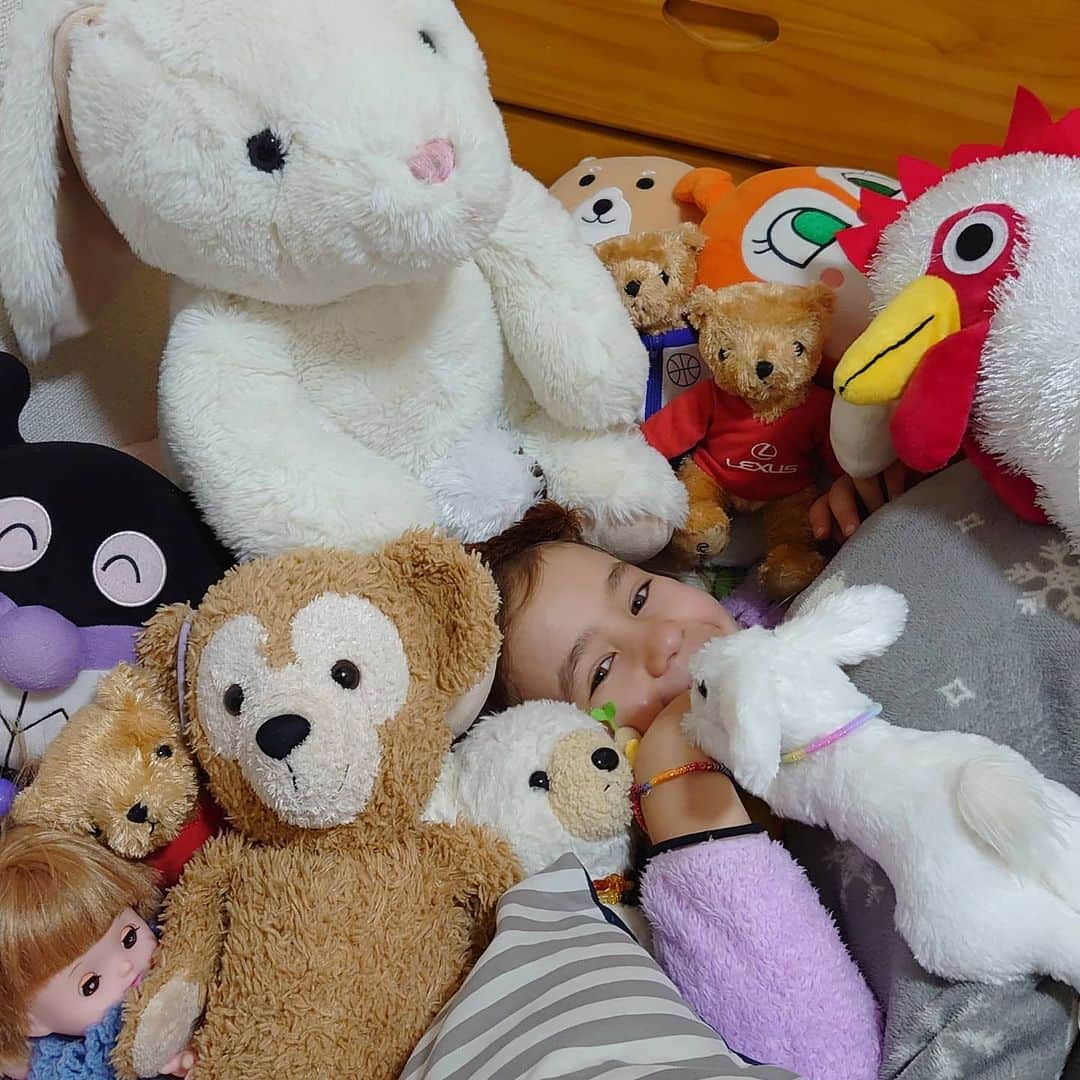 ピーチフラワーのインスタグラム：「· HanaとYukiが「ちょっと来てぇ💕」と言うので見に行ったらMomoがこんな状態にされていました😸 そして、Momoめちゃくちゃ嬉しそう🥰 · · #ぬいぐるみに埋もれたい #妹にされるがまま #三姉妹 #ぬいぐるみ好き #ピーチフラワー」