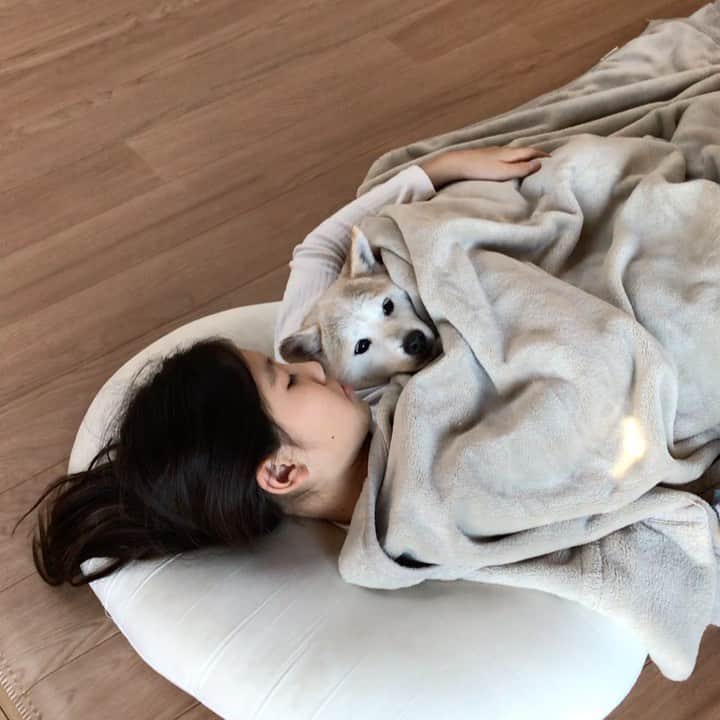 柴犬リリコのインスタグラム：「赤ちゃん🤱🏻役リリコさん😂 #かんたん床暖」