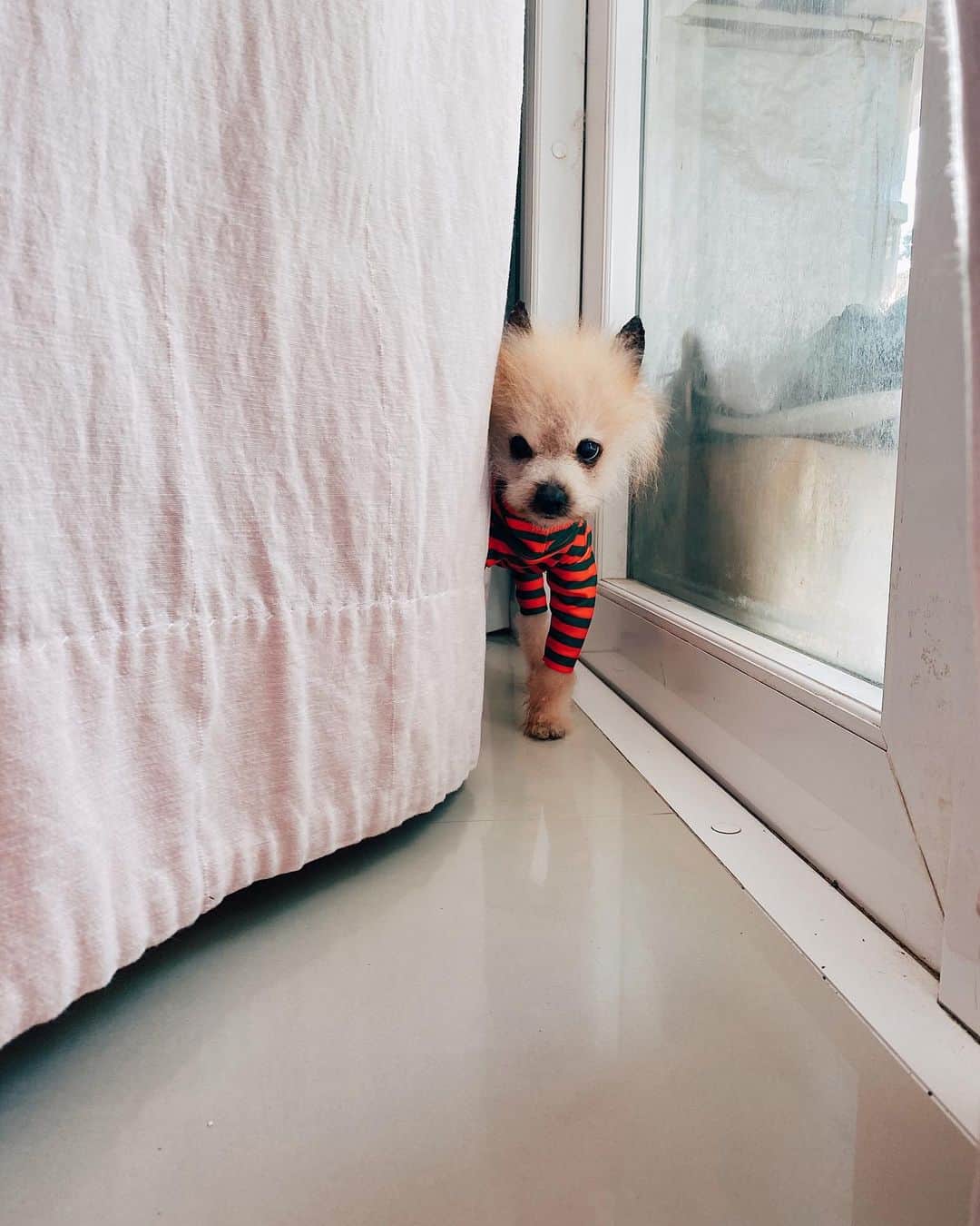 r_oseのインスタグラム：「Is Santa here yet?🎅🏼🎄〰️」
