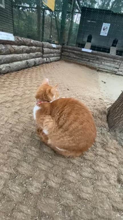 ジンソクのインスタグラム