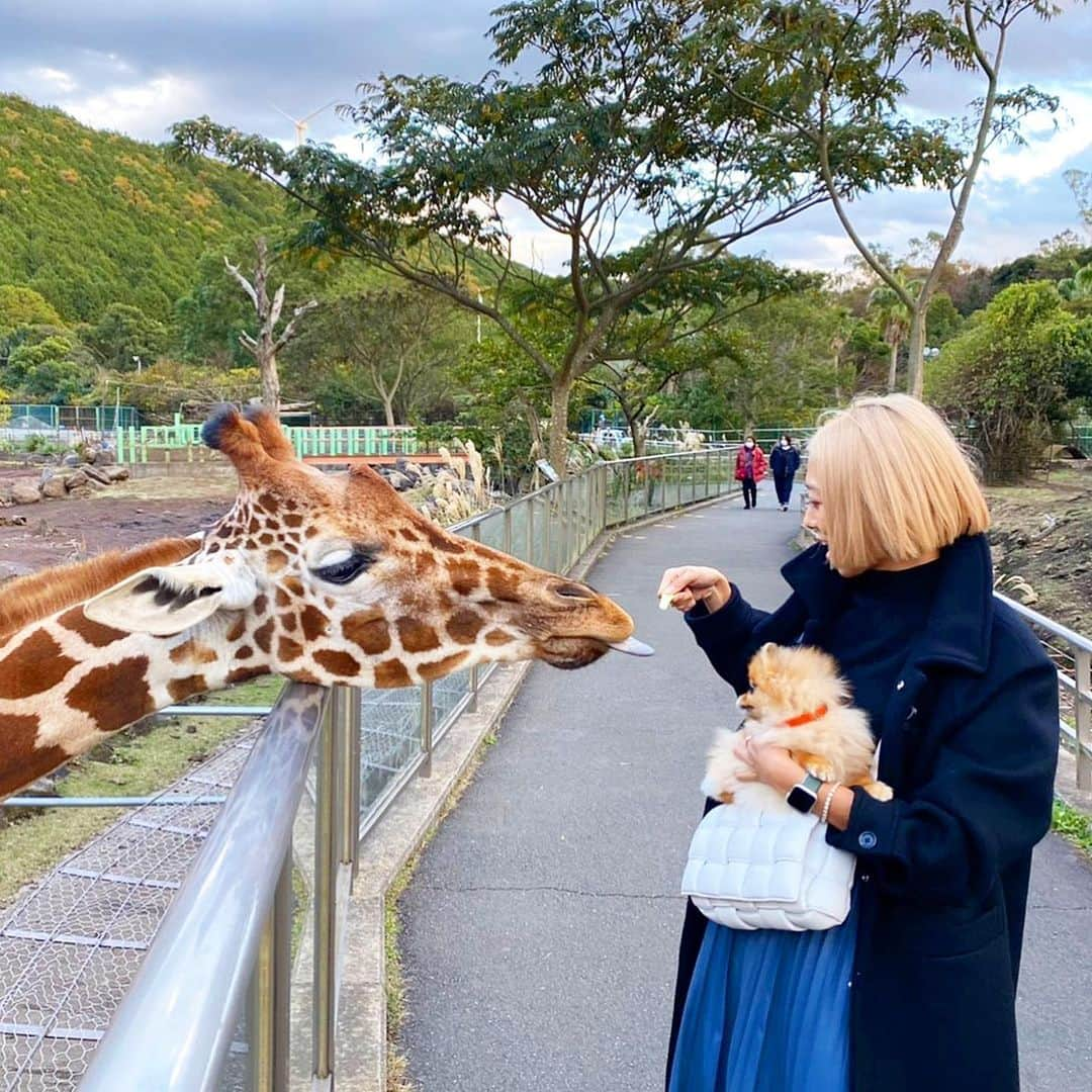 Mika Jimboのインスタグラム