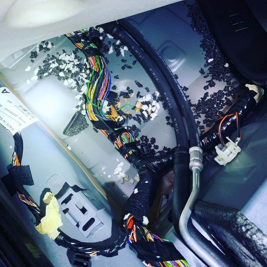 のインスタグラム：「HAHAHAHA! Okay 2020. I see you. You are angry and you mean business. Who wants to laugh with me? In the final weeks of 2020, rodents burrowed into my car, made a giant nest of acorns and totaled the electrical system. Rodents!  Come at me Murder Hornets! You gorgeous swarm of Mother Earth’s fury!  Come. At. Me. Bitches. 🐝 ⚡️🔥」