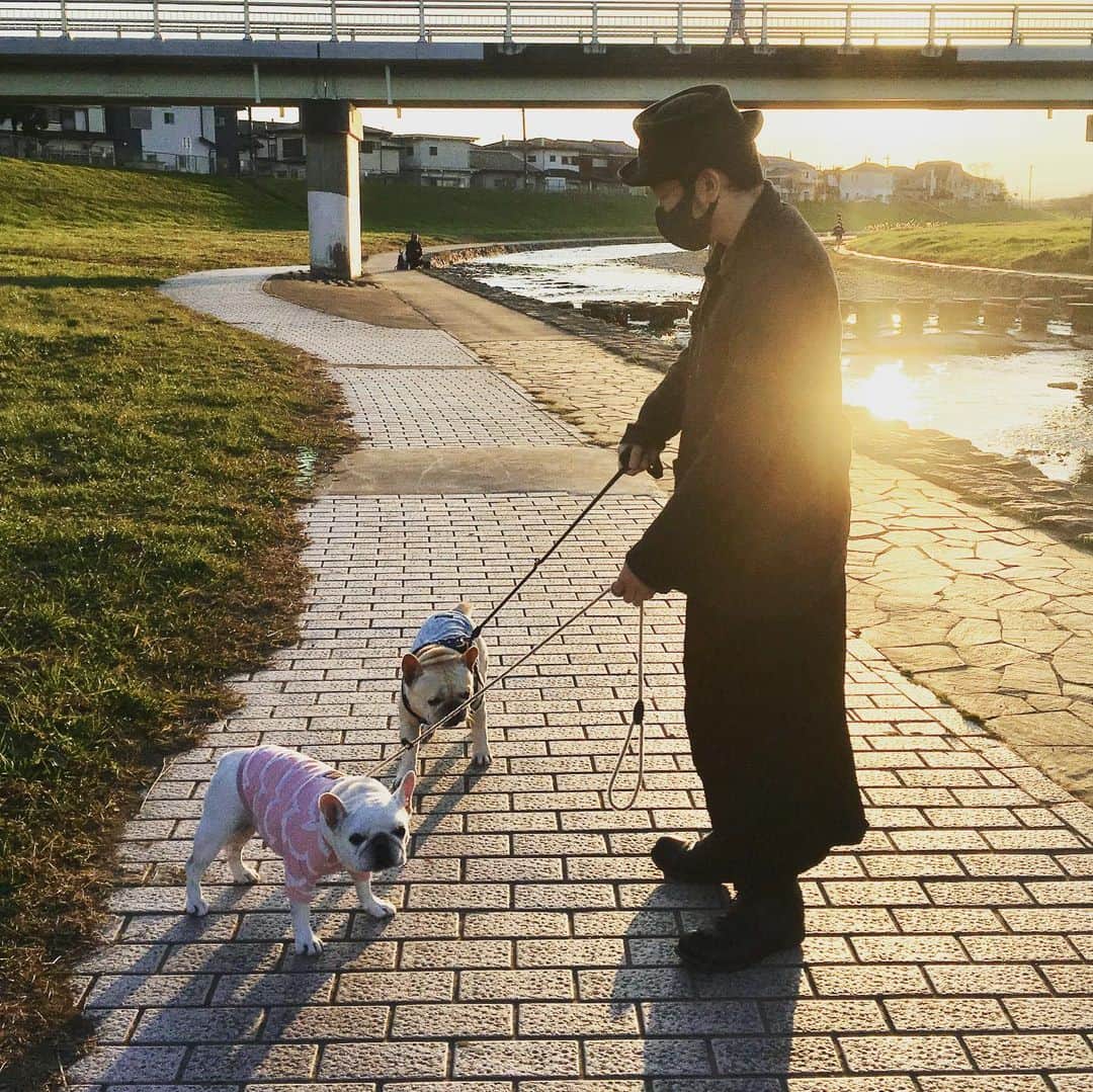 Ham-chanさんのインスタグラム写真 - (Ham-chanInstagram)「#frenchbulldog #frenchie #hamham #hamchan #hamanduta #utakun #フレブル #フレンチブルドッグ #はむちゃん #うたくん #はむはむ #はむうた  久しぶりのはむうた散歩🐶🐶」12月6日 19時39分 - hide_ham_tank