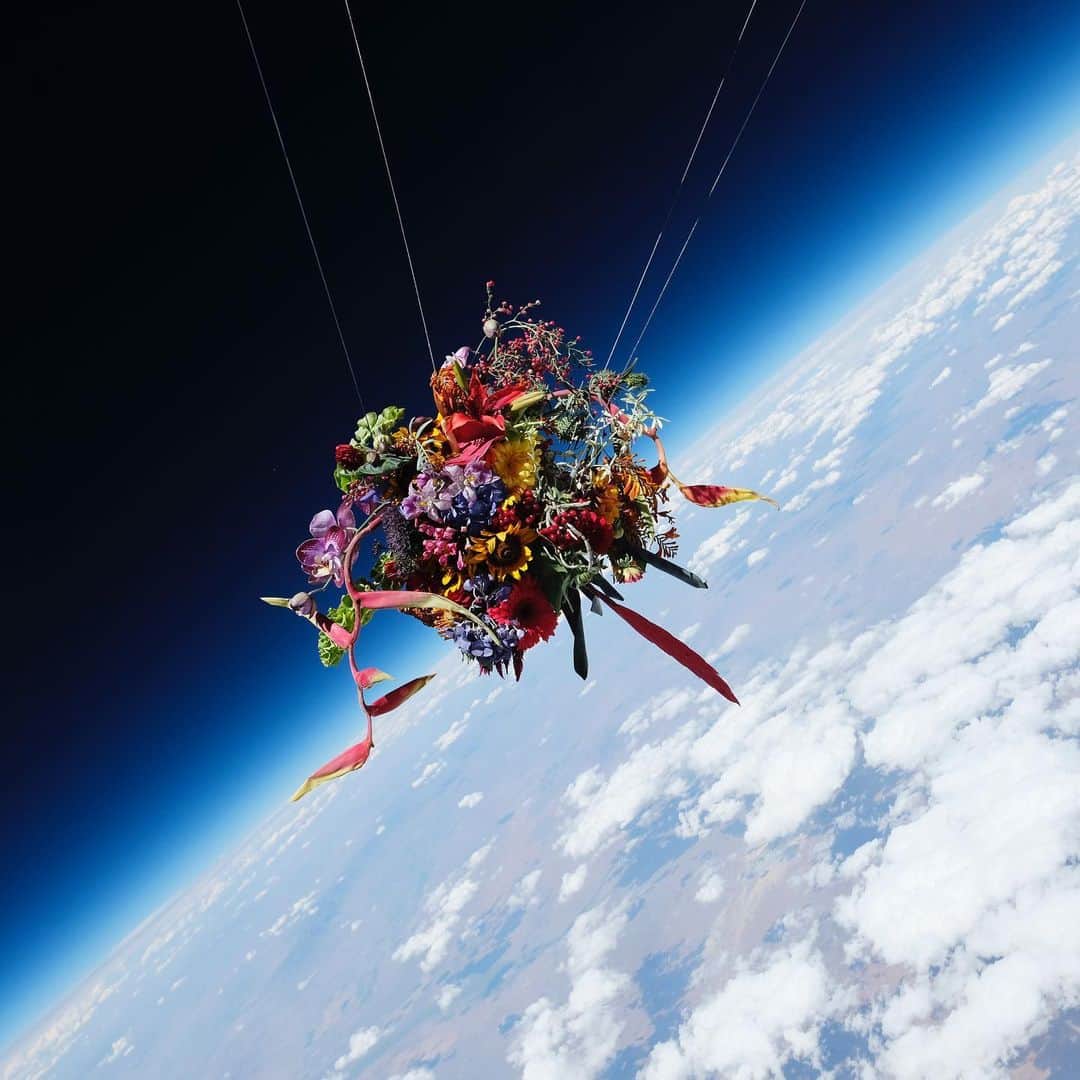 のインスタグラム：「EXOBIOTANICA 2 (2017)  #azumamakoto #shiinokishunsuke #amkk #amkkproject #inbloom #blackrockdesert #botanicalspaceflight #space #東信 #東信花樹研究所」