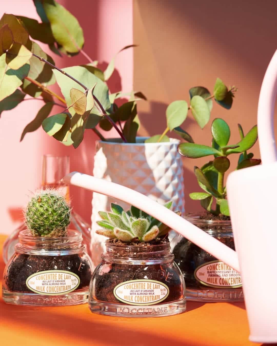 ロクシタンのインスタグラム：「Give the gift of nature. 🌱⁣ ⁣ Plants make great gifts and are the perfect addition to any home. This year, why not get creative with your plant pots and recycle your old tubs into planters?⁣ ⁣ Tag your plant mom and dad friends in the comments and share this inspiration with them 💚⁣ ⁣ #ReducingWaste #Nature #Plantlove #gift #Christmas #Homemade #Loccitane」