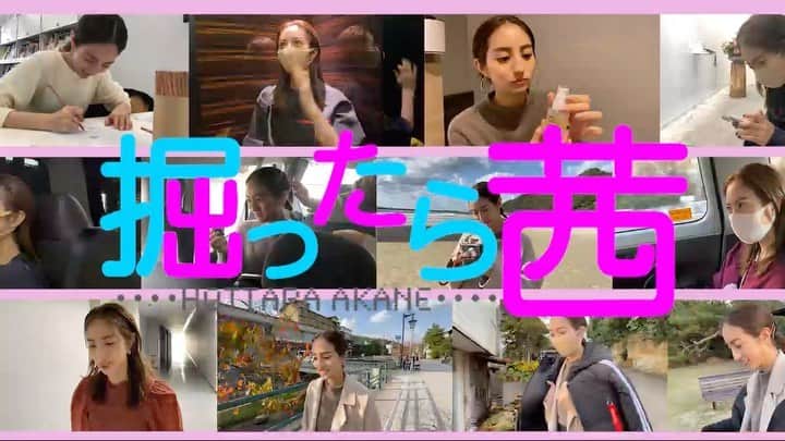のインスタグラム：「嬉しいお知らせ💗 先日リニューアルした"トップコートランド"にて、﻿ 私の新しい動画コンテンツが始まりました👏﻿ その名も…「掘ったら茜」🌈﻿笑 ﻿ 初回は私の手書きのゆるキャラたちとともに﻿ どんな質問にでも答えています。 私服やお気に入りのアイテム紹介など、 こういったプライベートを見せる企画はなかなかないので﻿ 気合十分ですよ🔥﻿ 見ていただいた方はこちらに感想なども残していただけたら…😌﻿ こういうことをやって欲しい！とか﻿ リクエストもあったら是非教えてください🥰﻿ ﻿ トップコートランドは会員様のみ見ていただくことができるサイトです！﻿ が、他では見せない(あまりにも素すぎる)私が満載の企画が﻿ 今後もたくさん更新される予定なので、﻿ 是非この際に登録していただけたら…❤️﻿ ﻿ 普段応援してくださる皆様に恩返しの気持ちで、﻿ より近くに感じてもらえるよう﻿ これからも頑張るので、よろしくお願いします😊﻿ いつも本当にありがとうございます🥰」