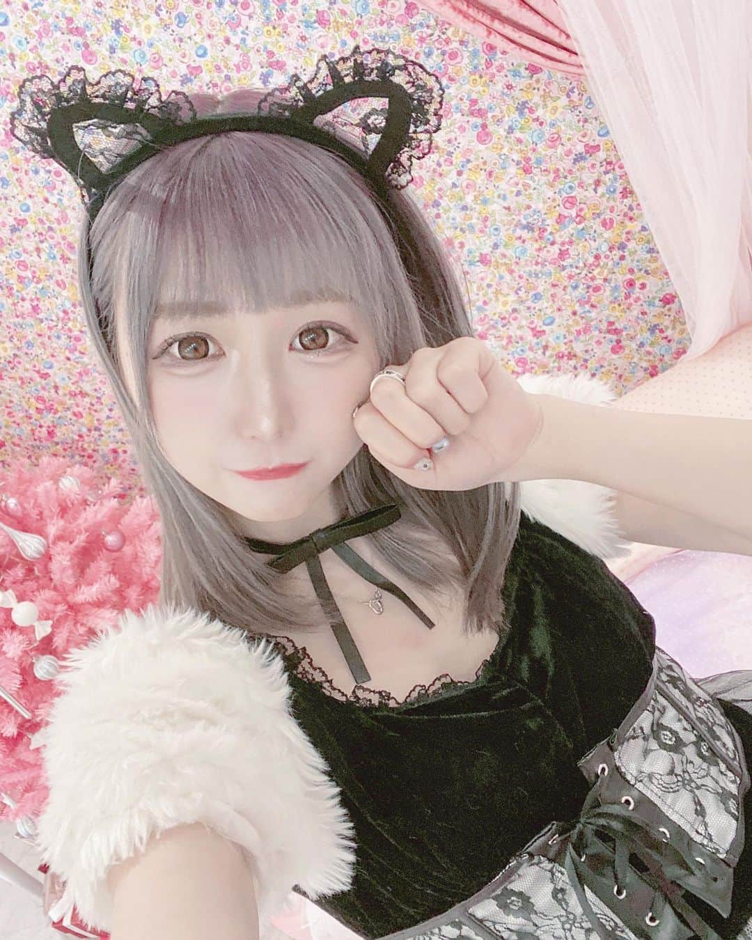 あいにゃんのグルメインスタ