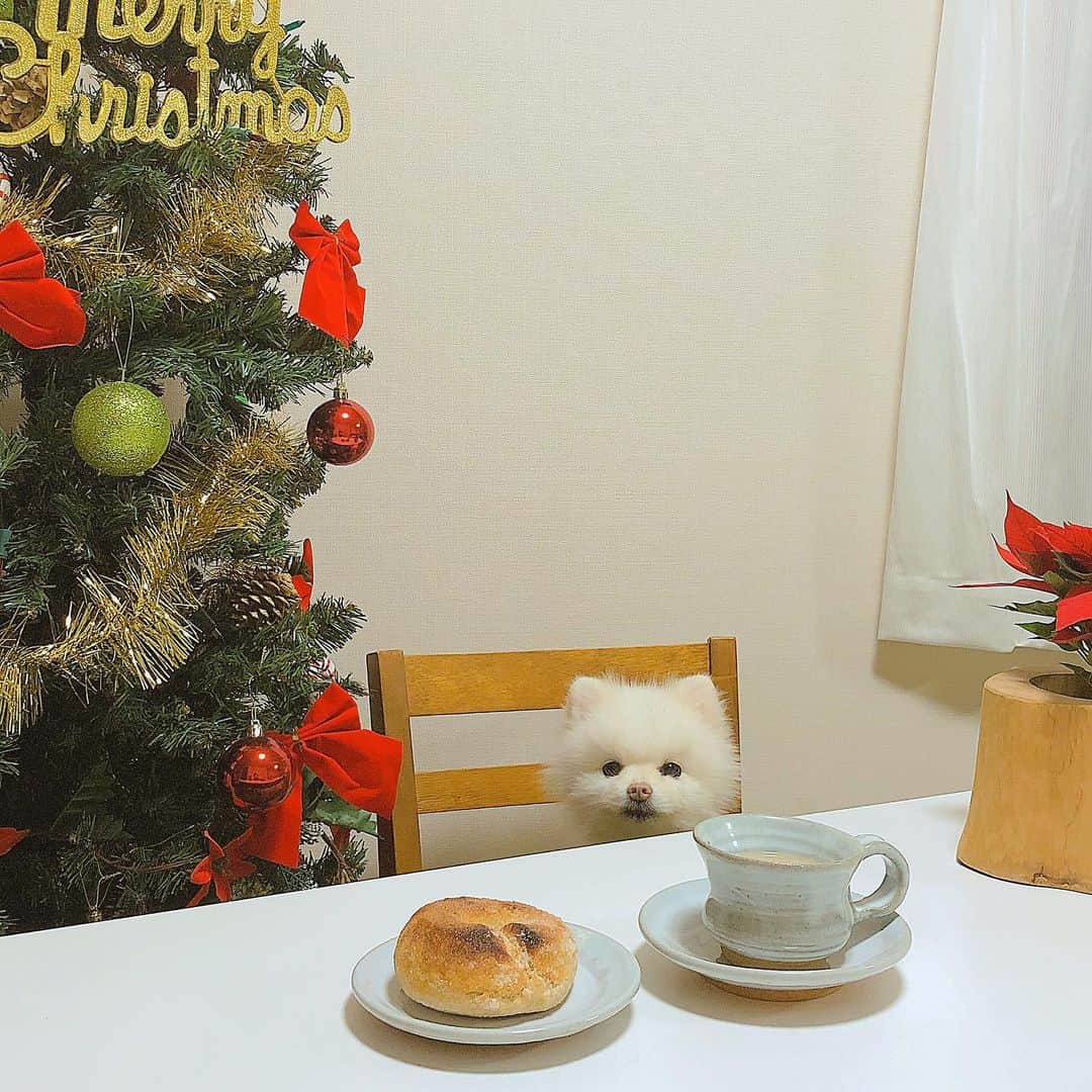 今吉めぐみのグルメインスタ