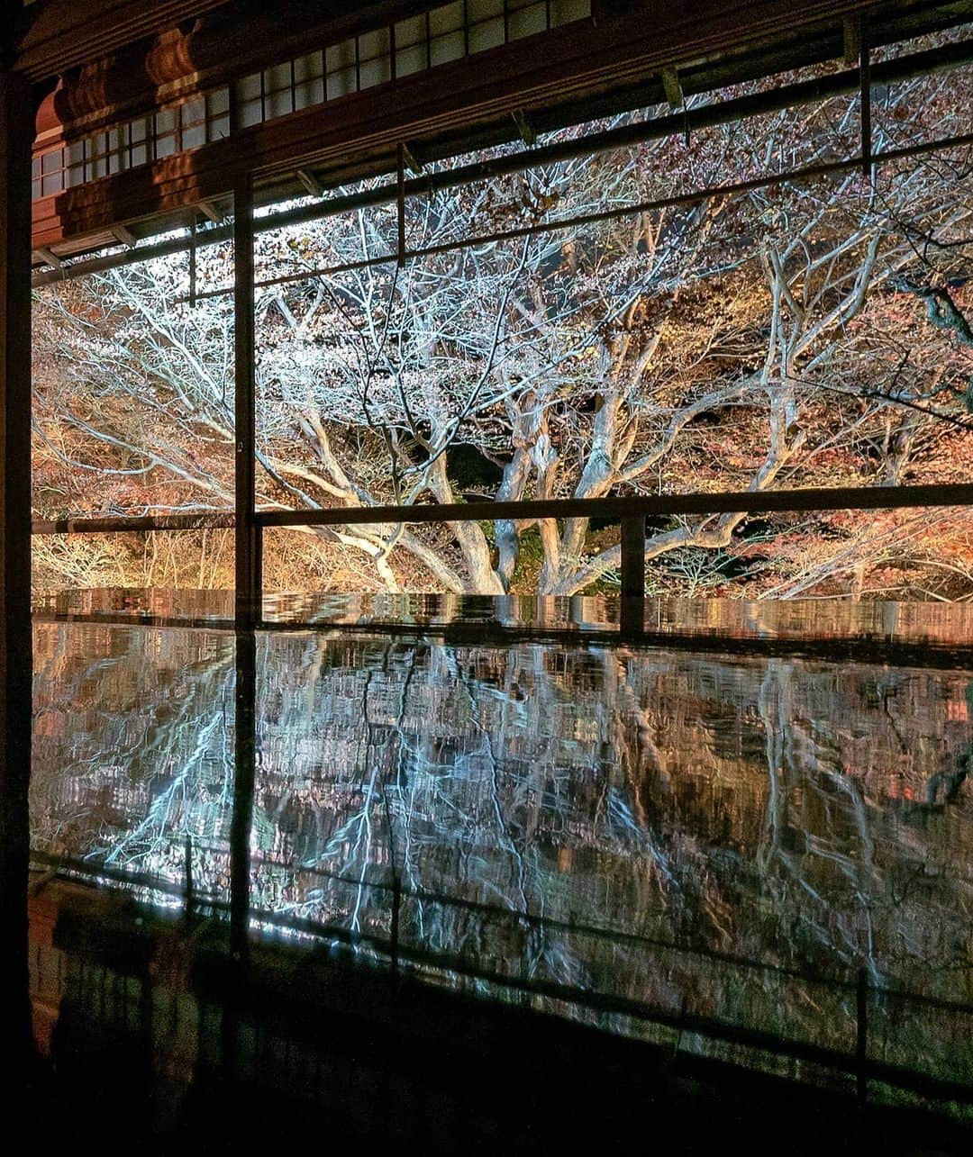 masayaさんのインスタグラム写真 - (masayaInstagram)「Rurikoin Kyoto  瑠璃光院最後のカットです。」12月6日 20時52分 - moonlightice