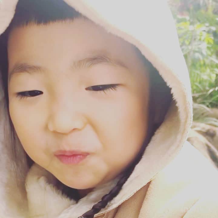 のインスタグラム：「今日、お散歩の休憩おやつで 生まれて初めて#おやつカルパス 食べた瞬間、めっちゃくちゃいいリアクションした娘を動画に収められなかったのが無念。 いつか大人になった娘に見せたかったけどなー（笑）  とにかく「おやつカルパス」にどんハマりの娘でしたー（笑）  私も子供の頃から好きだったから、娘の表情見て「分かる分かる〜」ってなった（笑）  #将来酒飲み #カルパス大好き #娘4歳6ヶ月」