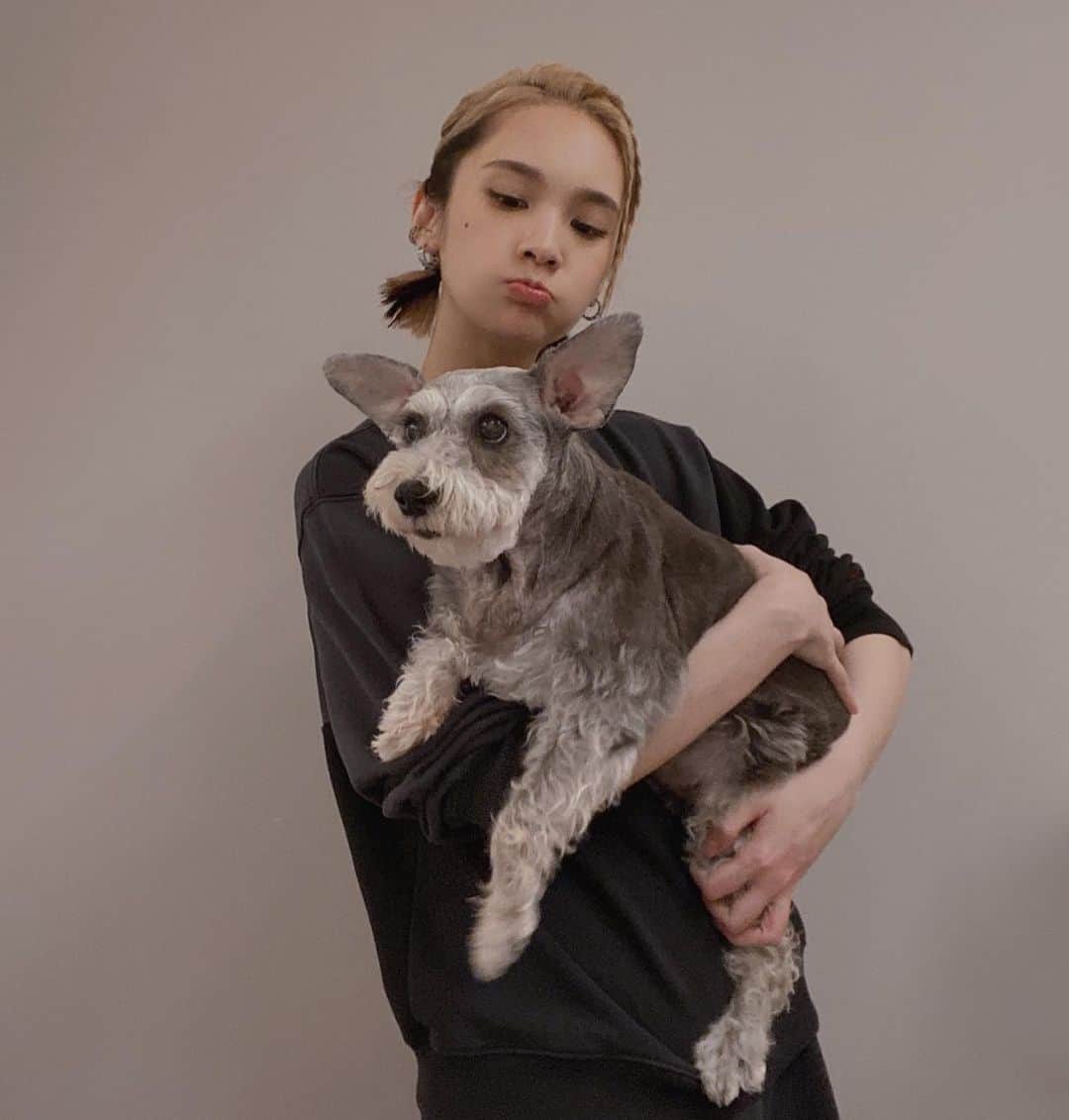 レイニー・ヤンのインスタグラム：「我逮到她的那天☺️  #雪納瑞 #母女」