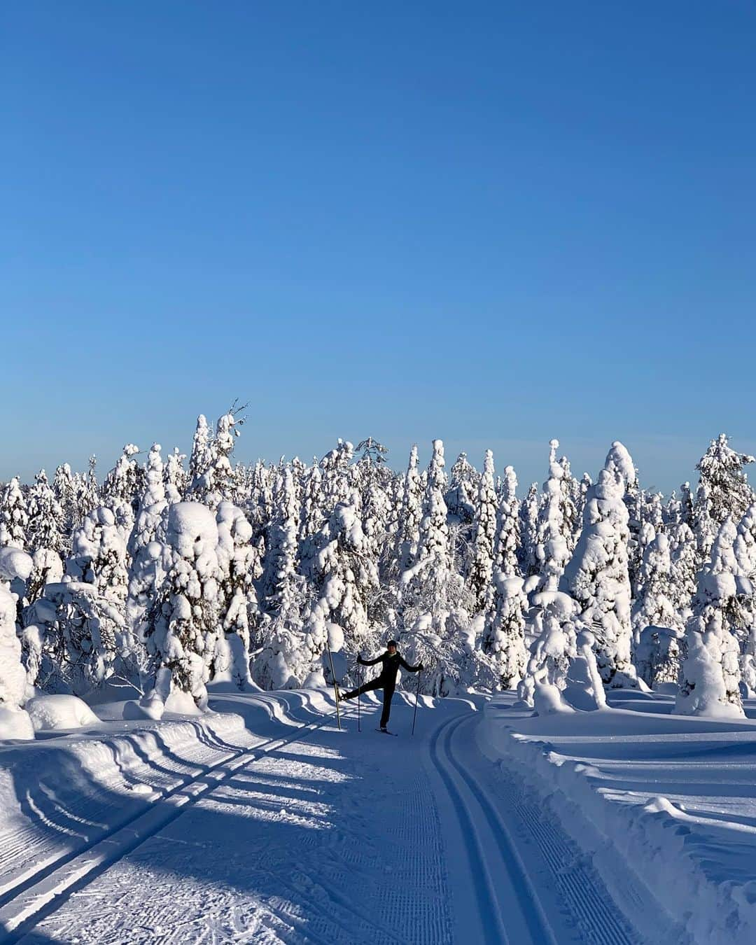 ラウラ・レピストさんのインスタグラム写真 - (ラウラ・レピストInstagram)「Happy independence day dear special Finland.💙🇫🇮 Not competing under the Finnish flag around the world anymore - instead, feeling so thankful and humble to actually have time to enjoy the outstanding nature and the purest air in the world.❄️💙 Even though I must say I miss traveling a bit, there’s no place like home.💙 . . . . #finland #suomi #independenceday #itsenäisyyspäivä #visitfinland #ourfinland」12月6日 21時10分 - lauralepisto