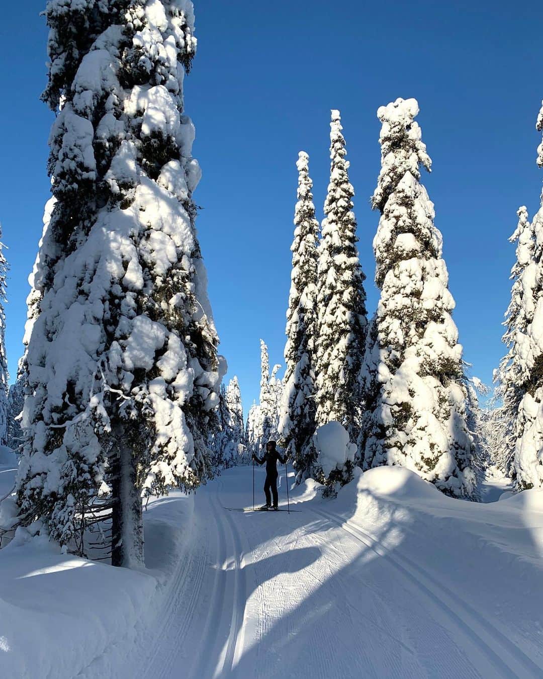 ラウラ・レピストのインスタグラム：「Happy independence day dear special Finland.💙🇫🇮 Not competing under the Finnish flag around the world anymore - instead, feeling so thankful and humble to actually have time to enjoy the outstanding nature and the purest air in the world.❄️💙 Even though I must say I miss traveling a bit, there’s no place like home.💙 . . . . #finland #suomi #independenceday #itsenäisyyspäivä #visitfinland #ourfinland」