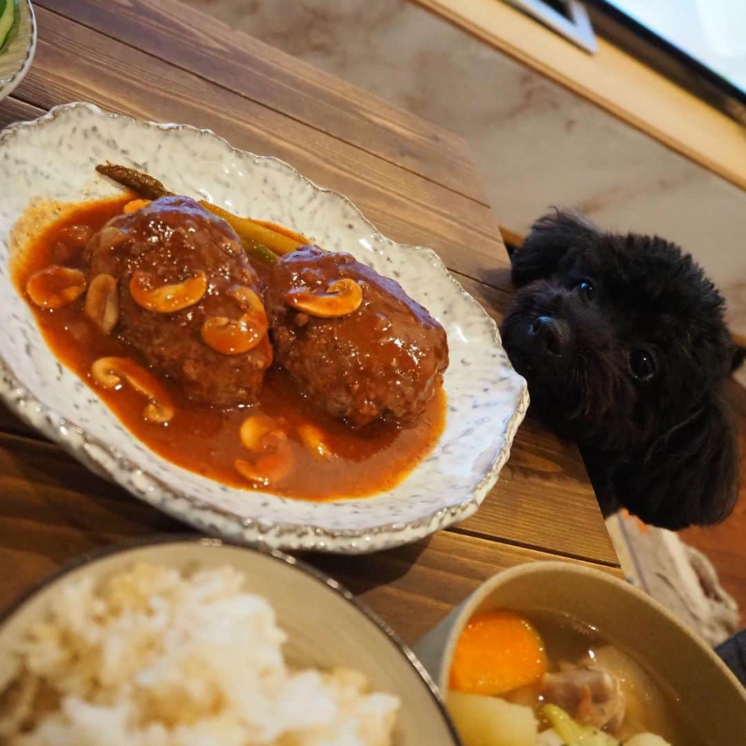 青谷優衣のインスタグラム：「🐶🍽#煮込みハンバーグ   我が家ではいつもパン粉の代わりに水切り木綿豆腐を入れるのですが、ふんわり尚且つヘルシーに出来てオススメですよ👩🏻‍🍳🌹  合い挽き肉　300g 塩胡椒　少々 すりニンニク　一片 木綿豆腐　1/2 炒めた玉ねぎ　1/2 卵　1個  ひき肉に塩胡椒、すりニンニクを入れ、まずしっかり下味を付けてこねる 水切りした木綿豆腐、卵、炒めて冷ました玉ねぎを入れ、しっかりこねる。  丸くして両面軽く焼く 水を100cc程入れてフタをして蒸し焼き 水が少なくなったらそこに赤ワイン100cc投入 中濃ソース　大さじ3 ケチャップ　大さじ3 はちみつ　大さじ2 バター　大さじ1 マッシュルーム　たっぷり を入れて煮込んだら出来上がり👩🏻‍🍳  #ハンバーグ #豆腐ハンバーグ #レシピ」