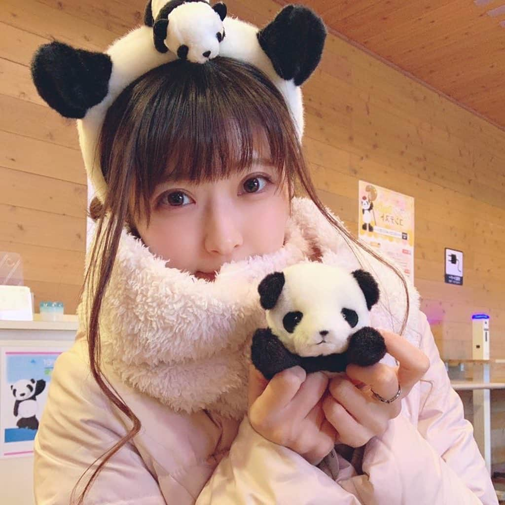 内藤もゆのさんのインスタグラム写真 - (内藤もゆのInstagram)「●＋○＝🐼﻿ ﻿ #パンダコパンダコパンダ﻿ #パンダを見るとこの歌が頭から離れない﻿ #現代の子ってこの歌知ってるんかな？﻿ #パンダってさ色だとただの白黒なのにね﻿ #なんであんなに可愛いんだろうね人気なんだろうね﻿ #万人受けするパンダさんいつまでもありのまま笹を食べ続けてください﻿ #🐼🐼🐼」12月6日 21時37分 - moyuno54naito