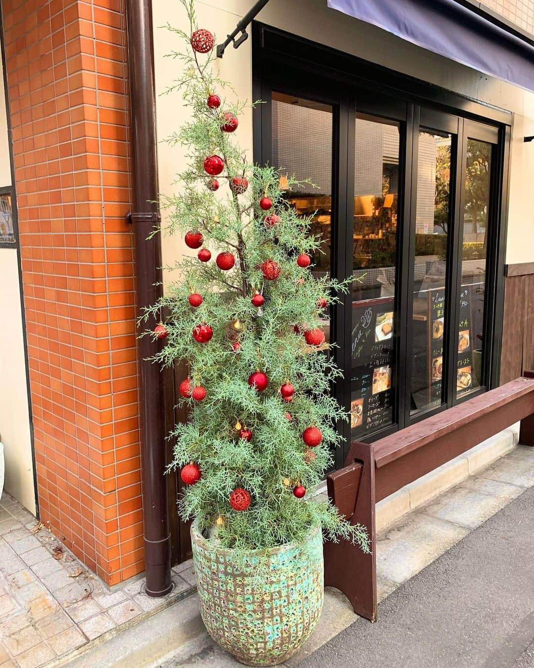 住吉美紀さんのインスタグラム写真 - (住吉美紀Instagram)「きょうは拙店のChristmas tree decoration day！ 王道Christmas songsを聴きながら飾ると思い切り浸れて気分が盛り上がる〜  #クリスマスツリー #やっぱり赤と緑 #christmastreedecorating  #christmastree  #christmas  #christmassongs  #andywilliamschristmasalbum  #ミアヴァート珈琲」12月6日 21時55分 - miki_sumiyoshi