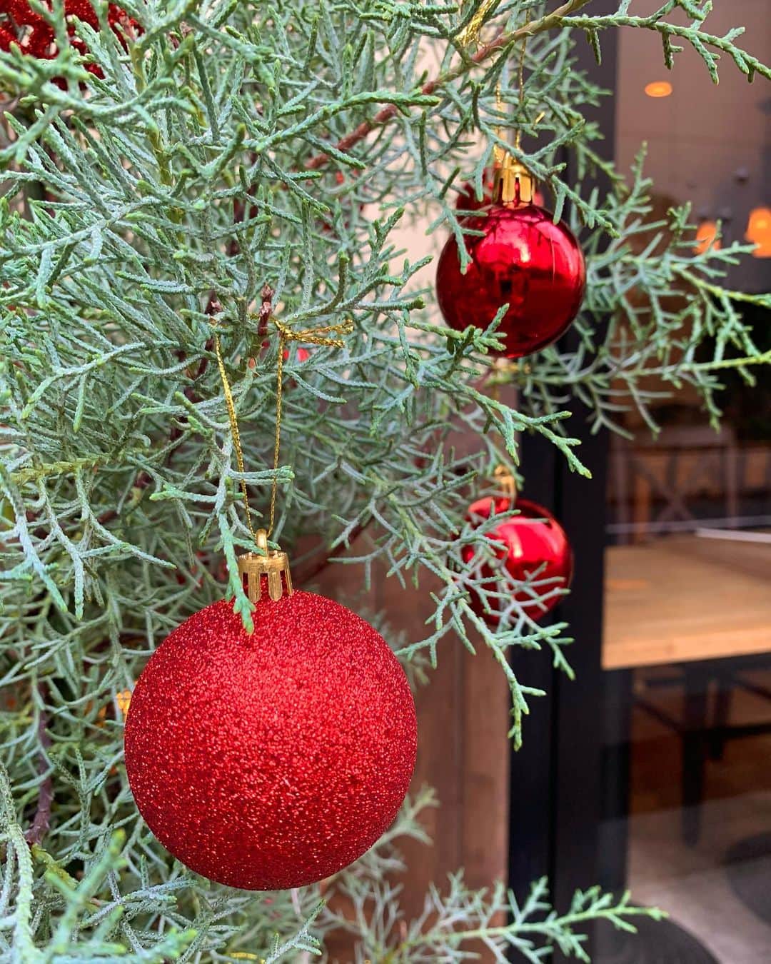 住吉美紀のグルメインスタ