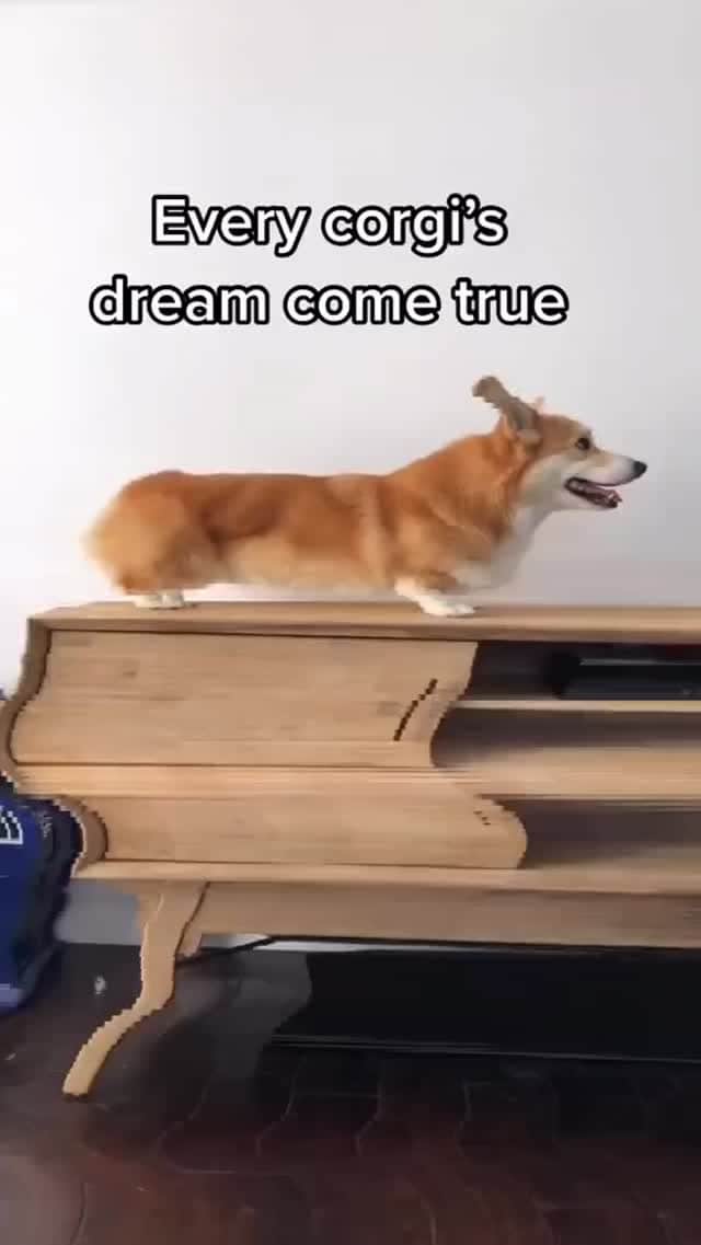 9GAGのインスタグラム