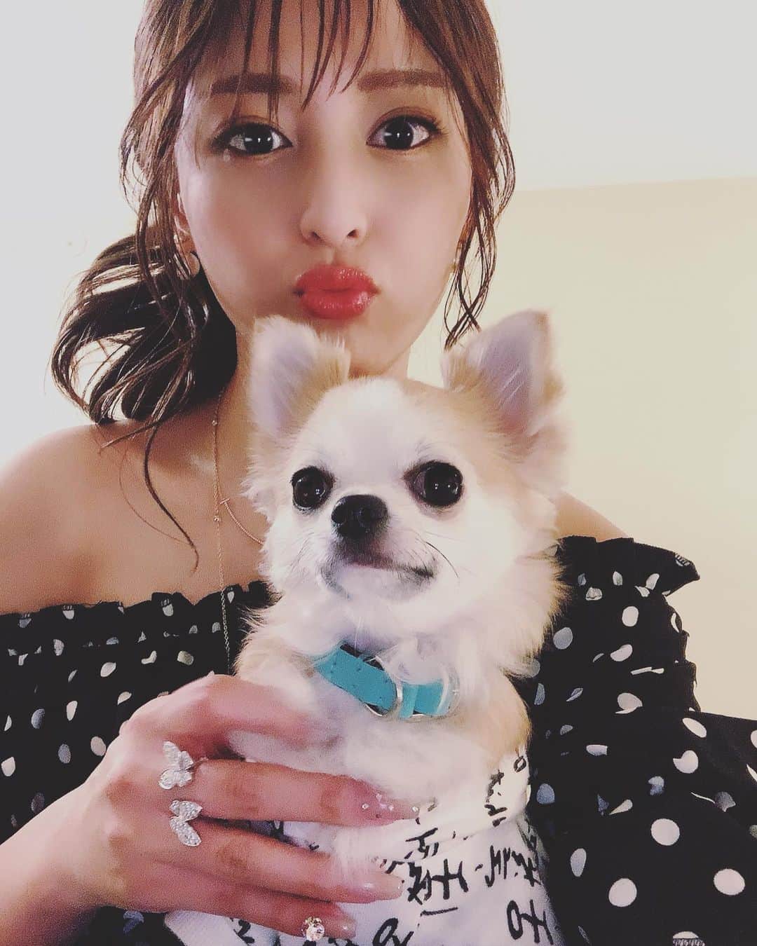 のインスタグラム：「. . 愛犬の可愛いさを 最大に利用する飼い主👩🏻🐶👌 . . からの2〜3枚目 swipe→→👩🏻🐶🐶 . . ほんまにどうしても絶対に カメラが嫌な進撃のパピコ様 . . パピコ様の写真が少ないのは このせいです😂👏 . . こんな可愛いのにモデルにはなれないパピコ様👅 そこも愛しい . . ##### #北新地#祇園#ホステス#キャバ嬢#クラブ#クラブザコート#韓国女優になりたい#キムジウォンになりたい#田中みな実になりたい#ノーカラコン#ナチュラルメイク#愛犬家#チワワ部#ちわすたぐらむ#チワワのいる暮らし#溺愛」