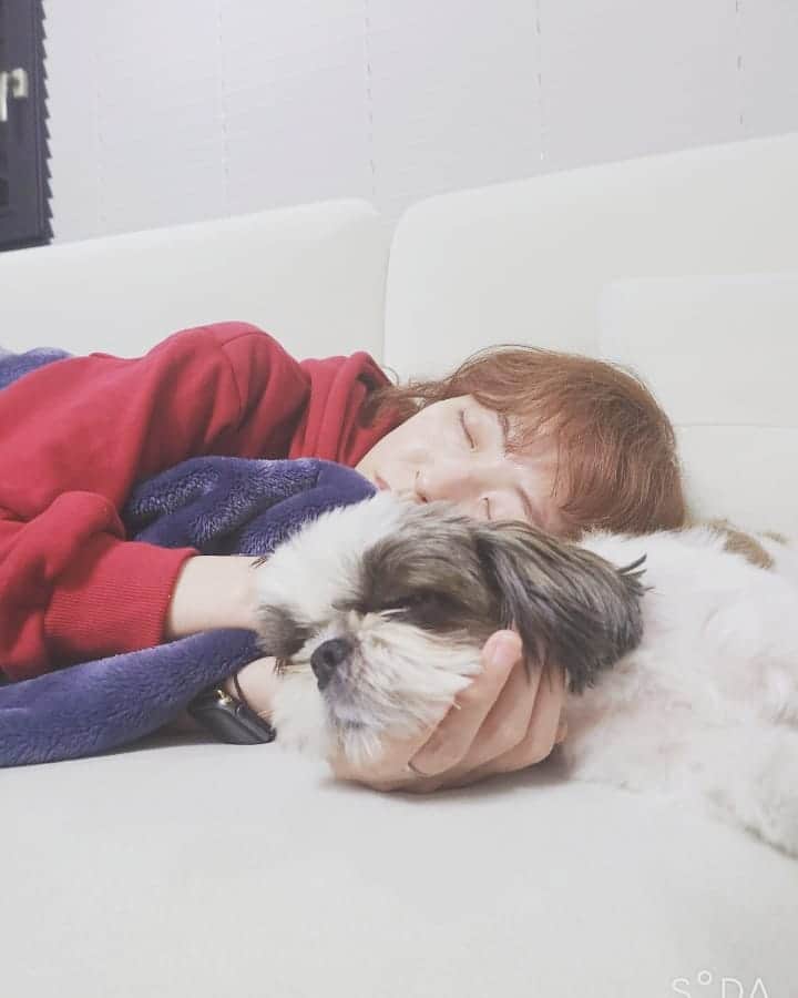 シム・ウンジンのインスタグラム