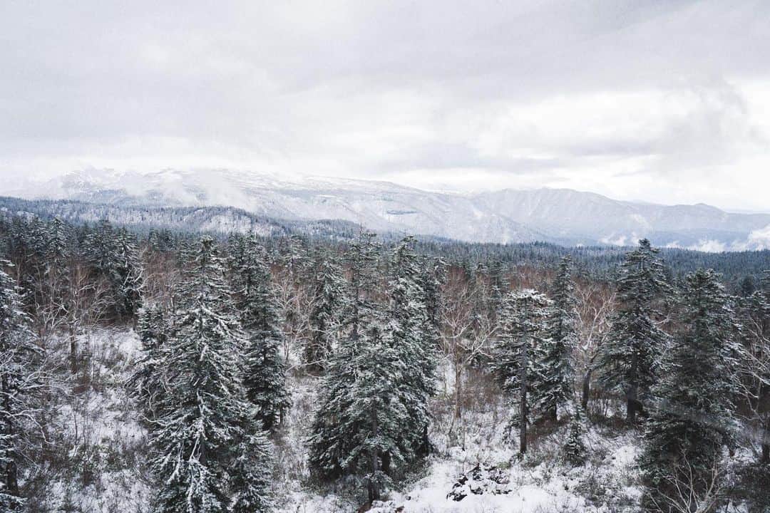 _msy_tのインスタグラム：「Snow covered trees, mountains. . 雪×山×木々❄️🌲 . . #picoftheday #team_jp #pixlib_jp #visitjapanjp #alpha_newgeneration #sorakataphoto #tokyocameraclub #ap_japan_ #ig_japan #visitjapanjp #retrip_news #art_of_japan_ #photo_jpn #japantravelplanet #hubsplanet #daily_photo_jpn #ptk_japan #wu_japan #japan_daytime_view #snow #広がり同盟 #風景 #風景写真 #風景写真部 #雪 #木 #pastpicture」