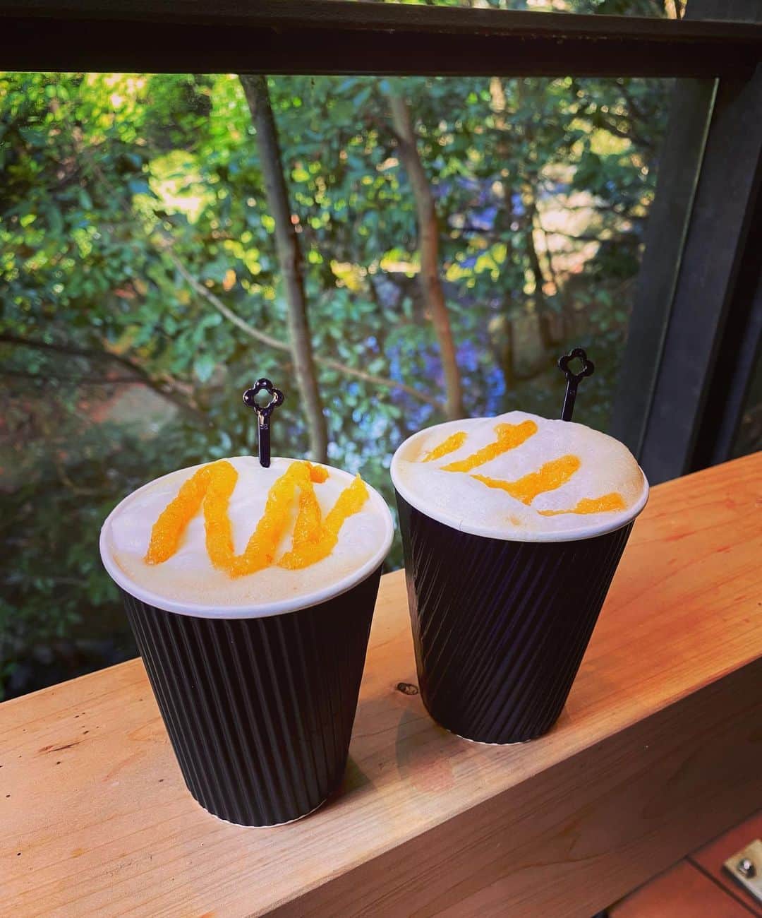 Erenaさんのインスタグラム写真 - (ErenaInstagram)「🍃🌿🌳🌿🍃 I drank a really good white chocolate latte. Thank you as always. ここのホワイトチョコ柚子ラテ美味しかった😋🍋☕️ いつも付き合ってくれてthank you…♡👭🏼 . #autumnleaves#japan#fourseasons#determination#strong#power#future#happy#bright#light#color#紅葉#四季#日本#写真#風景#森#マイナスイオン#ホワイトチョコレート#柚子#ラテ」12月6日 22時17分 - o1.erena.1o_