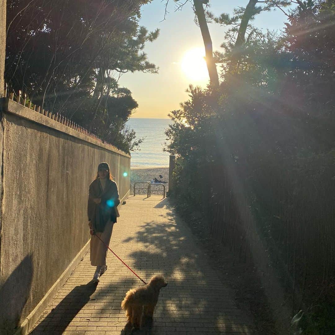 小泉里子さんのインスタグラム写真 - (小泉里子Instagram)「気持ちのいいお散歩だったな〜♡ #トコリケ」12月6日 22時31分 - satokokoizum1