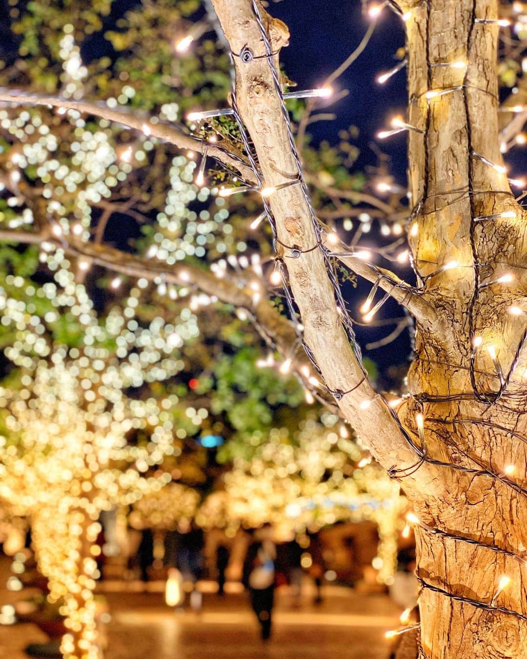 のインスタグラム：「#illumination ⛄️✨ . ポスターみたいな写真撮れた＼(^o^)／」