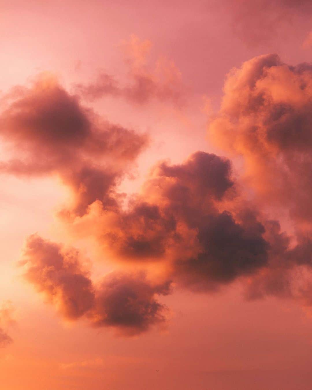 リリー＝ローズ・メロディのインスタグラム：「Good night beautiful Bali ✨// Still trying to decide/figure out if we’re going back to France for Christmas 🤯. Even though the current atmosphere in France seems to really suck, I don’t see myself being away from my family at the end of the month 😢 Are you guys planning to travel to spend Christmas with family???」