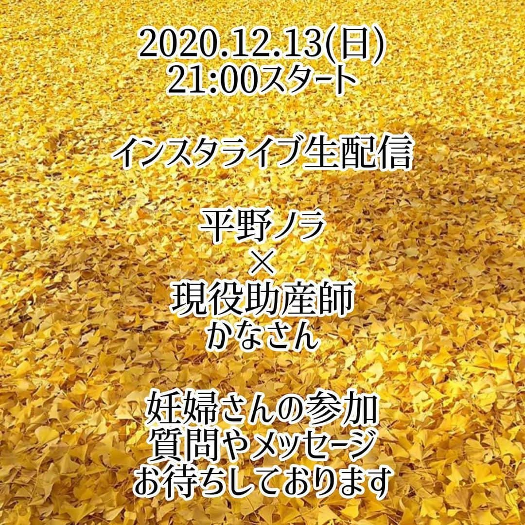 平野ノラさんのインスタグラム写真 - (平野ノラInstagram)「妊婦応援プロジェクト📣🤰💕  2020.12.13(日)21:00〜  『マタニティインスタライブ開催！』  妊婦さん集まれー！  妊婦の皆さんと一緒に インスタライブで不安や悩み、質問や気になっている事を話しましょう  コロナでマタニティ教室や母親父親学級などが中止になり、 なかなか交流も情報も少ない中、  高齢出産、孤独出産に挑む私たち妊婦の不安や悩みを少しでも楽に元気にマタニティライフを前向きに過ごせたらいいなと考え  私、平野ノラと現役助産師のかなさんと一緒に開催する事にしました！  生配信のコメントももちろん受付ますが、  事前に私や助産師さんに聞きたい事や、不安に思ってる事など  質問、何でも受け付けます！  是非みなさま、質問等はこちらのコメント欄か アメブロのコメント欄に記入をお願い致します！  当日、質問にお応えしていきます。 沢山の妊婦さんのご参加お待ちしております❤︎  #マタニティインスタライブ #平野ノラ #助産師かなさん #マタニティライフを #前向きに過ごせますように  #okバブリーマタニティアドベンチャー」12月6日 23時48分 - noranoranora1988