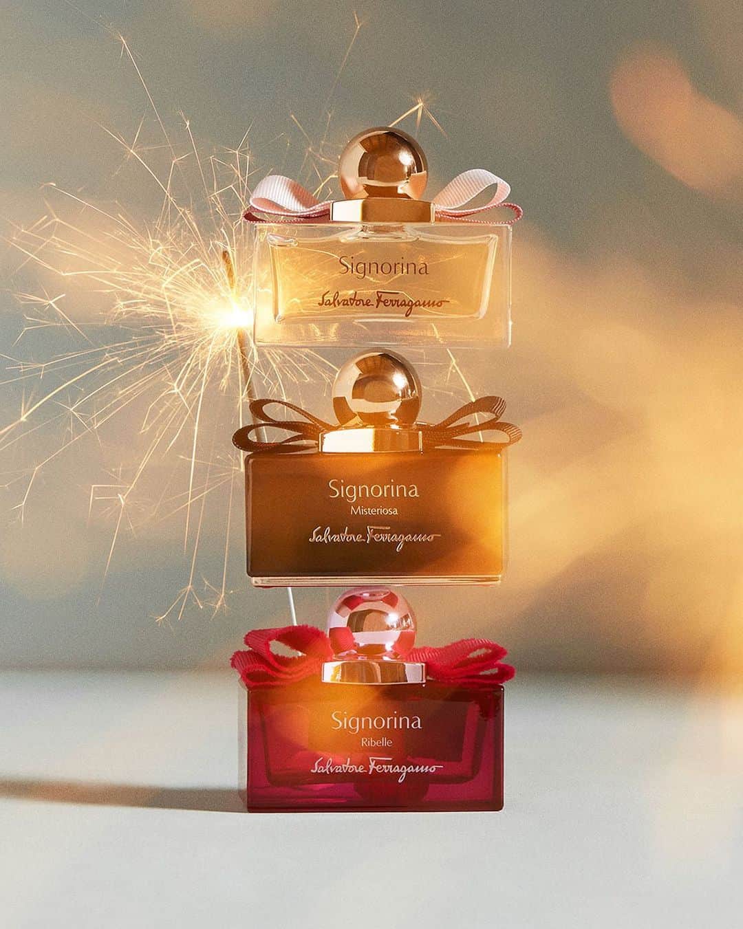 サルヴァトーレ・フェラガモのインスタグラム：「Take a sensory voyage into the glorious world of Signorina fragrances, charismatic confections of Signorina EDP, Signorina Misteriosa and Signorina Ribelle, that tease the senses with vivid contrasts of floral and unexpected gourmand notes. #SignorinaMoments #FerragamoParfums」