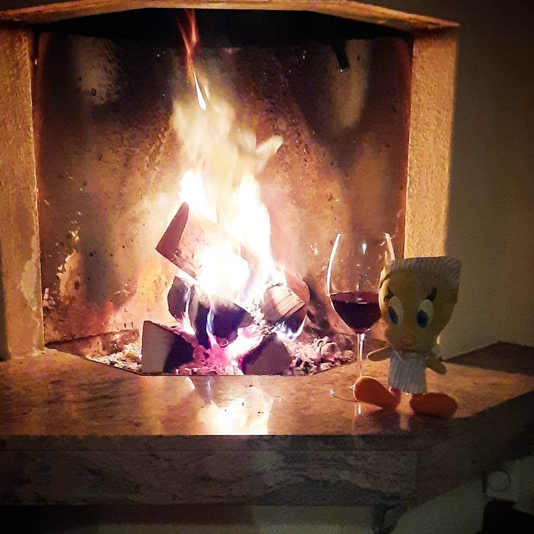 Little Yellow Birdさんのインスタグラム写真 - (Little Yellow BirdInstagram)「Sunday evenings are for drinks by the fireplace! Have a great evening everyone! #littleyellowbird #tweety #tweetykweelapis #adventures #yellow #bird #weekend #sunday #sundayevening #happyhour #fireplace #woodfire #openhaard #haardvuur #drinks #wine #redwine #stuffedanimalsofinstagram #plushiesofinstagram」12月7日 0時12分 - tweetykweelapis