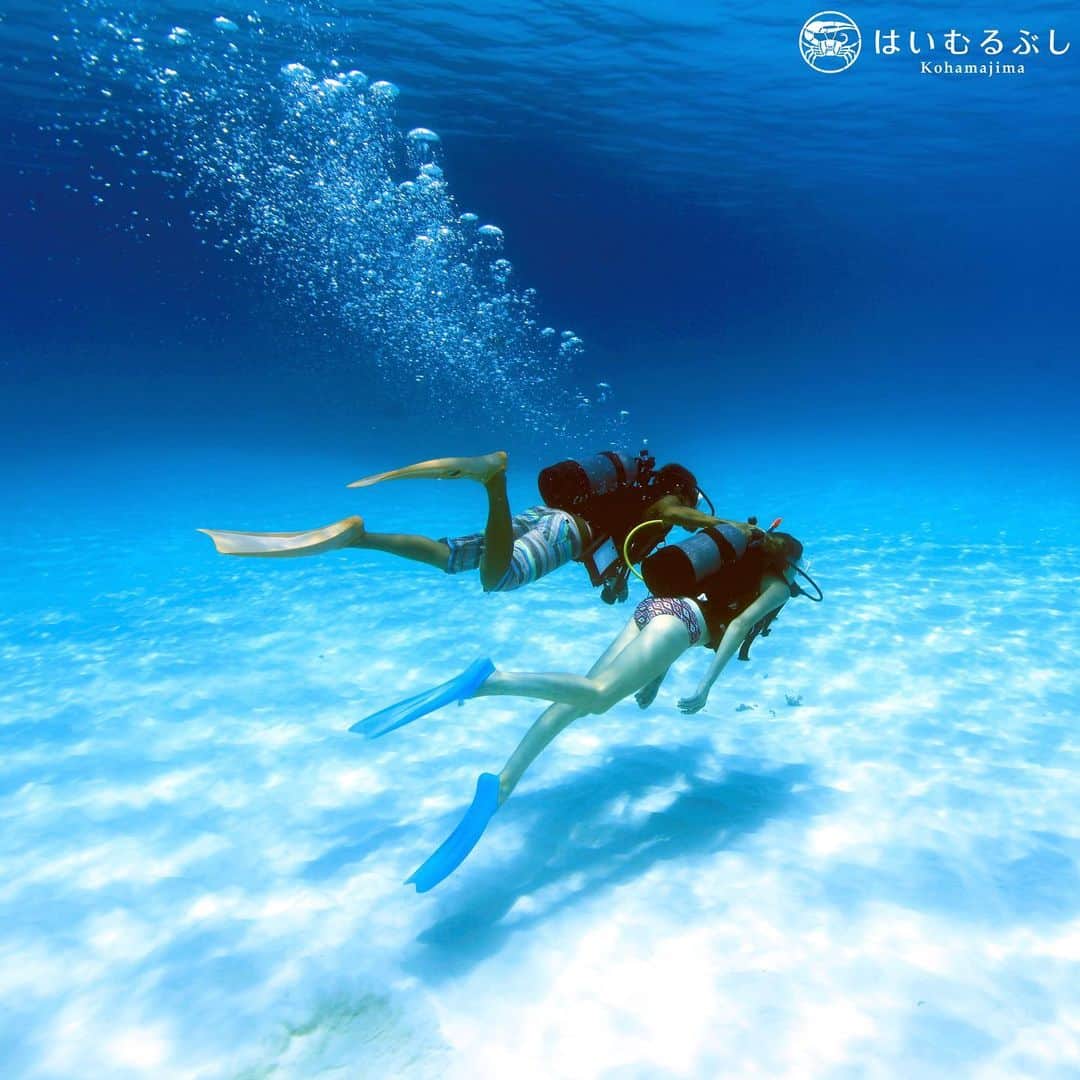 HAIMURUBUSHI はいむるぶしさんのインスタグラム写真 - (HAIMURUBUSHI はいむるぶしInstagram)「小浜島・はいむるぶしから癒しの風景をお届けします。 西表石垣国立公園の美しいブルーラグーンを海中から楽しむことができる体験ダイビング。 心安らぐ青い世界に癒されます。 #沖縄 #八重山諸島 #海 #サンゴ #ブルーラグーン #ダイビング #小浜島 #リゾート #ホテル #はいむるぶし」12月7日 0時15分 - haimurubushi_resorts