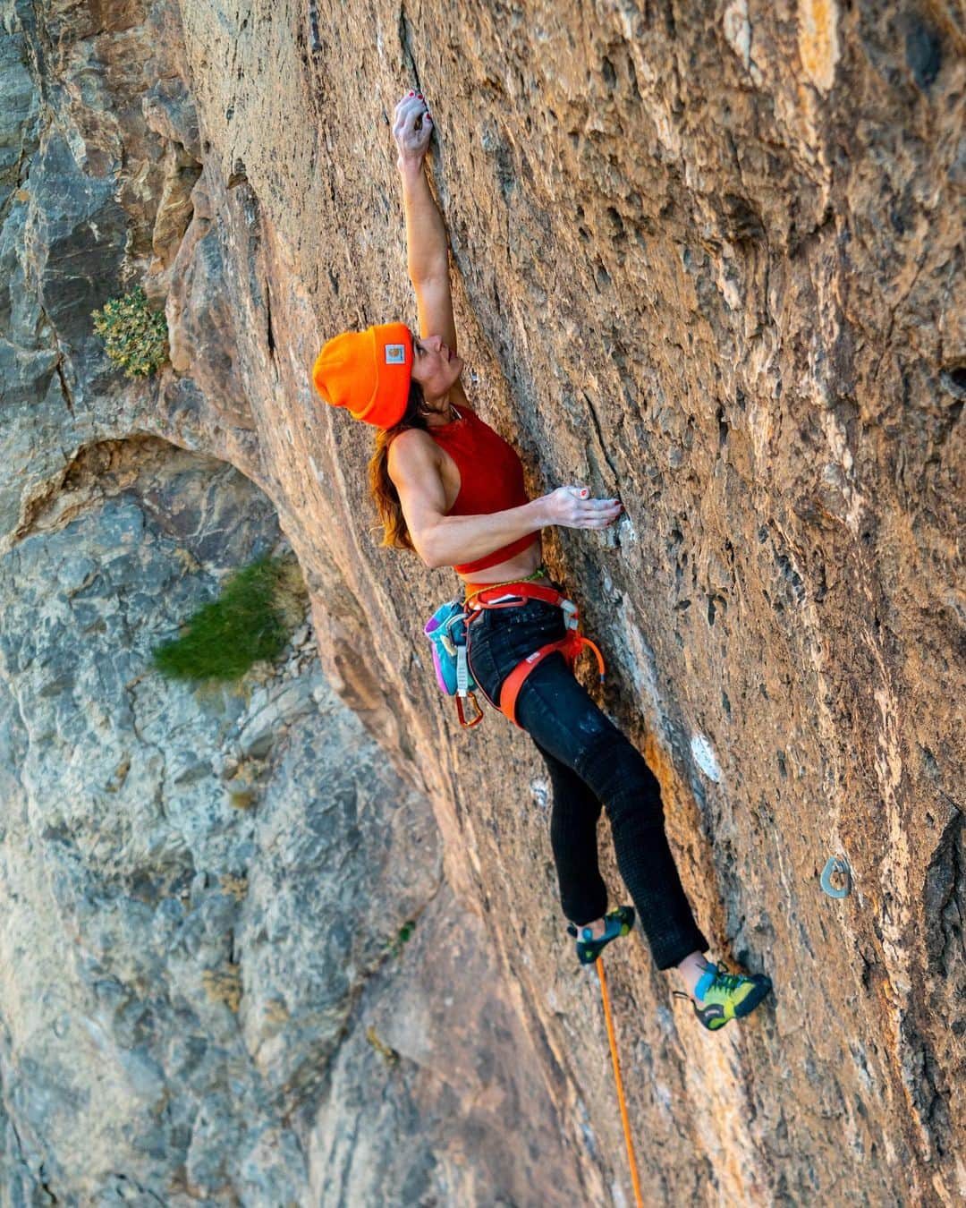 エミリー・ハリントンさんのインスタグラム写真 - (エミリー・ハリントンInstagram)「Sometimes it’s more fun to dangle on a rope and offer moral support while your friends get scared on runout slab than it is to actually climb yourself 🤨 // Took some days to chill and recharge at the majestic setting that is the VRG 🚛🚚🛣 and be a hobbyist photog. Thanks everyone for humoring me 📸💁🏼‍♀️ // @thenorthface // @kodiakcakes // @petzl_official // @lasportivana」12月7日 0時49分 - emilyaharrington