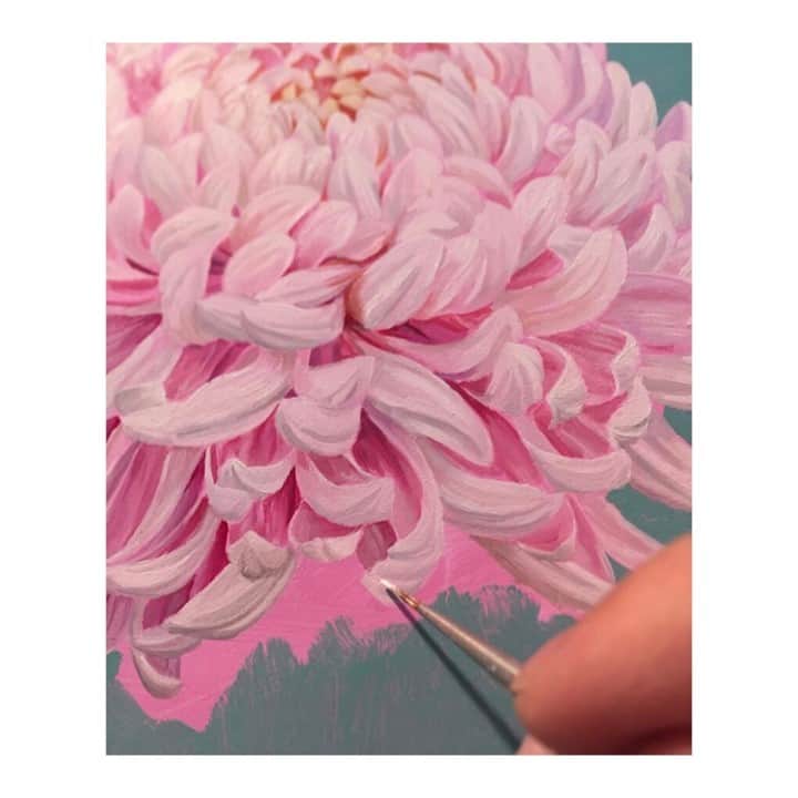 マッタのインスタグラム：「Chrysanthemum painting  by @jonchingart  Sunday pink💕」