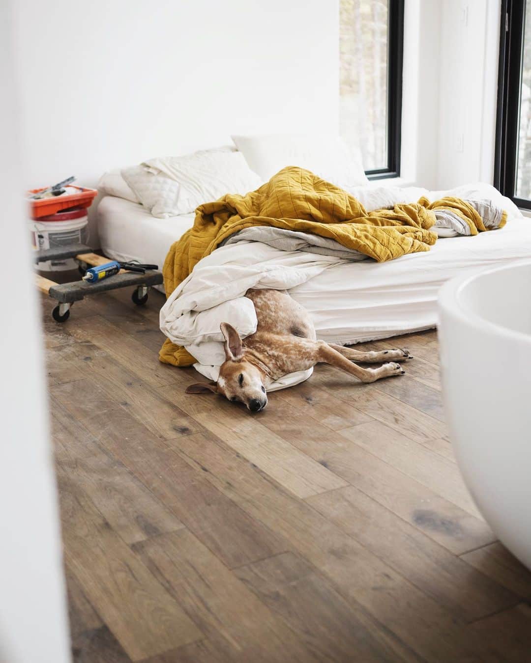 マディのインスタグラム：「Feels good to finallllly have a bed inside! Living on a construction site has become normal over the past few months but I def won’t miss the dust...I’m just over here dreaming of when I can finally clean these floors for good and not have a bathtub in the bedroom ✨ ⁣ And I do have a bit of work left but the list is getting smaller: tile bathrooms, plumbing trim out, interior trim, countertops!」
