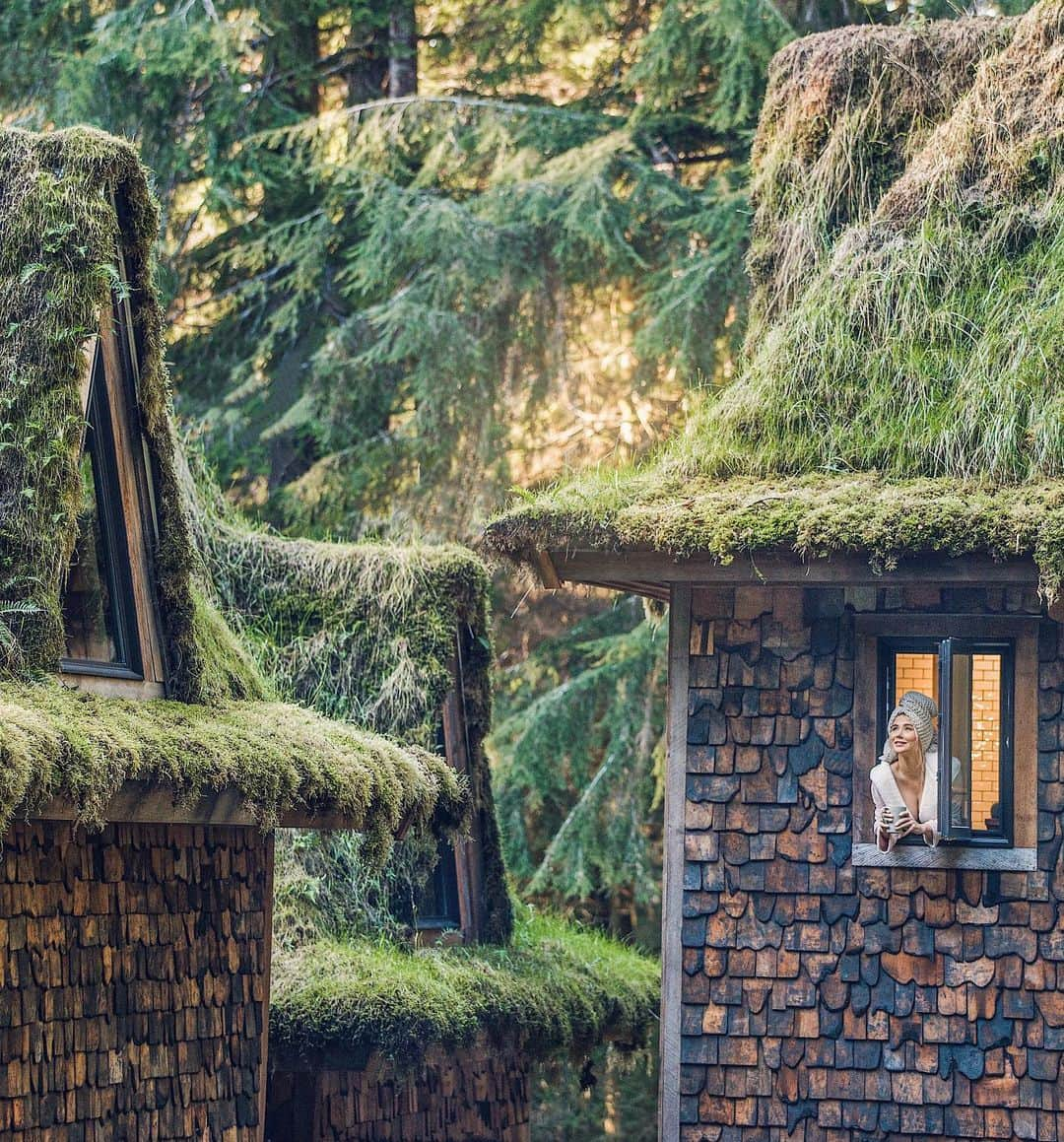 サラ・ジーン・アンダーウッドさんのインスタグラム写真 - (サラ・ジーン・アンダーウッドInstagram)「Me moved into the Castle Cabin, here’s a little peek! It’s been just over  1 year since @jacobwitzling and I started digging out the ground for the foundation, and now look at me, in an indoor bathroom whaaat?!? (Haven’t had that for 2 years!) We still have a ways to go until it’s finished but we are excited to start giving you looks at some of the completed spaces 💕 . Cabin by @jacobwitzling & @saraunderwood . #cabin #cabinlife #pnwonderland #beautifuldestinations #wildernessculture #diy」12月7日 2時06分 - saraunderwood