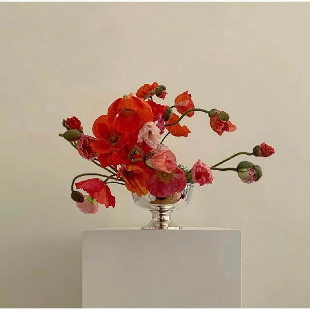 のインスタグラム：「Poppy Palette by Lisa Cooper」