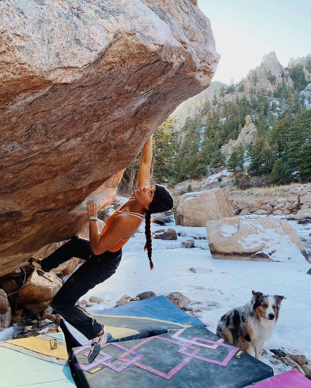 ブルック・ラバウトゥーのインスタグラム：「Wonderful day yesterday! Found some sun and sent Prospectors V11 pictured above with @nataliaclimbs, then finished off with a session at ABC! Good to be back home :) •  Borrowed Leo as a model for my pics, thanks @alex_puccio89 @robinoleary 🐶」