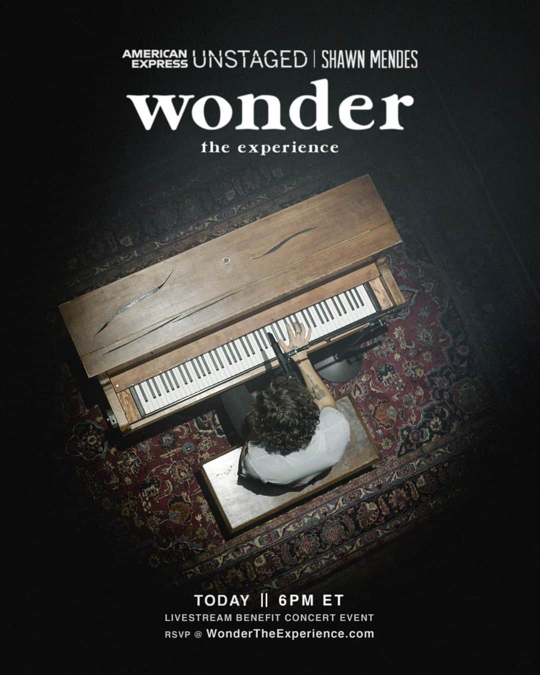 ショーン・メンデスのインスタグラム：「#WONDERTHEEXPERIENCE 6pm ET wondertheexperience.com」