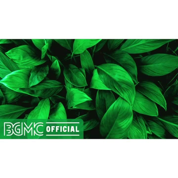 Cafe Music BGM channelのインスタグラム
