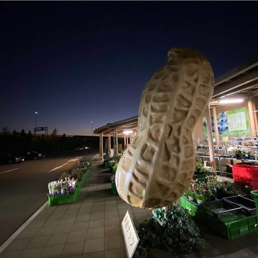 あなたのLOVE CHIBA教えてキャンペーンのグルメインスタ