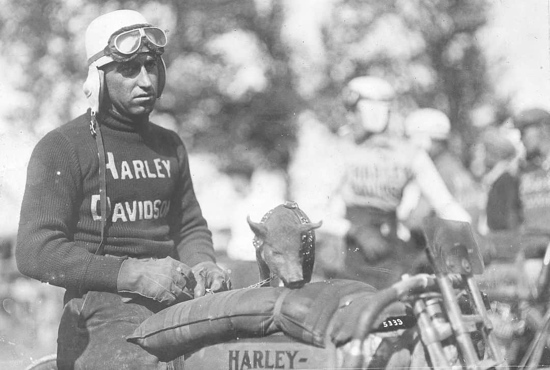 Harley-Davidsonさんのインスタグラム写真 - (Harley-DavidsonInstagram)「Did you know, a hog wasn’t the only animal on the track with #HarleyDavidson? Check out some of our other racing mascots throughout the years.」12月7日 5時14分 - harleydavidson