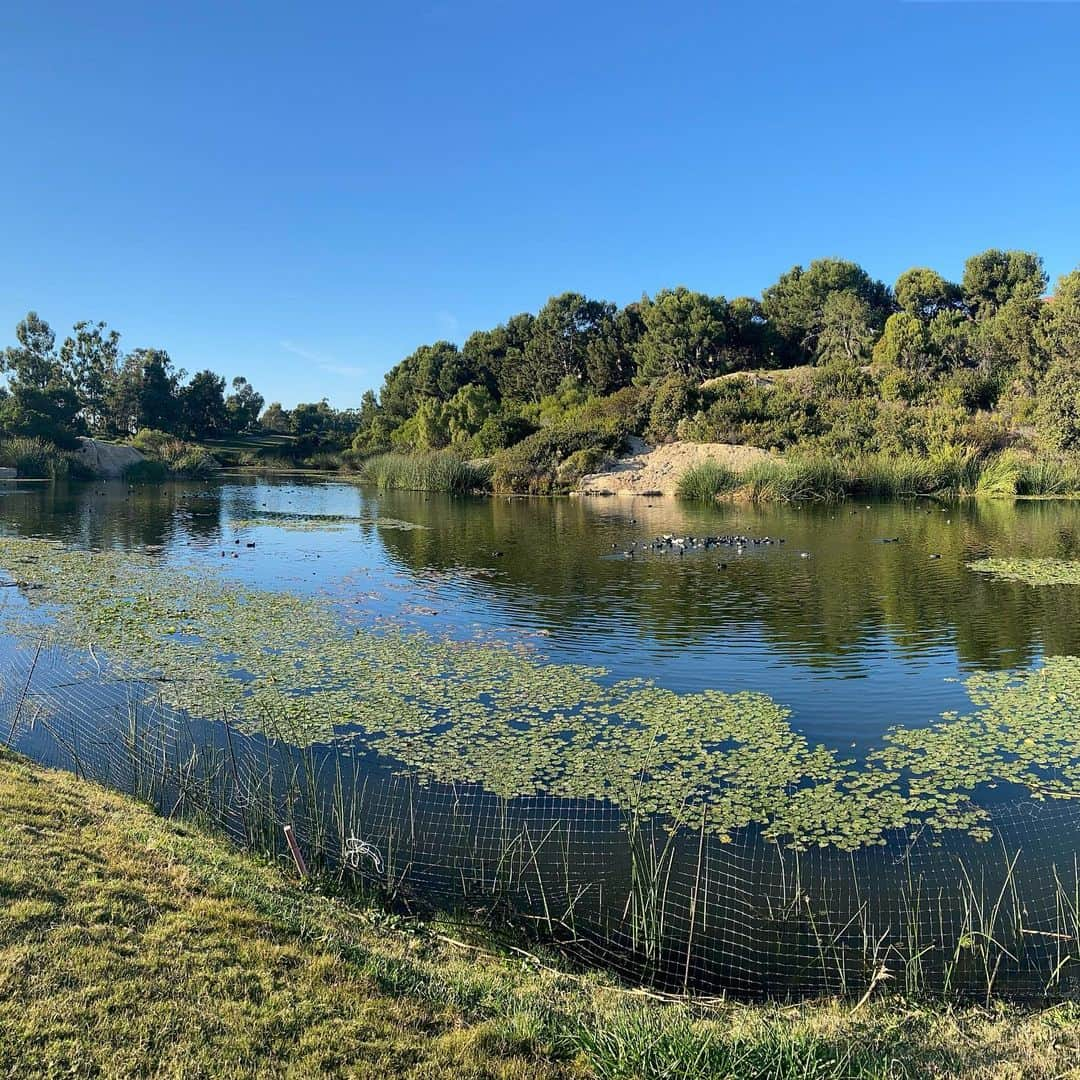 ローラ・マラノさんのインスタグラム写真 - (ローラ・マラノInstagram)「Went away for a little, and basically became a professional panoramic photographer」12月7日 5時30分 - lauramarano