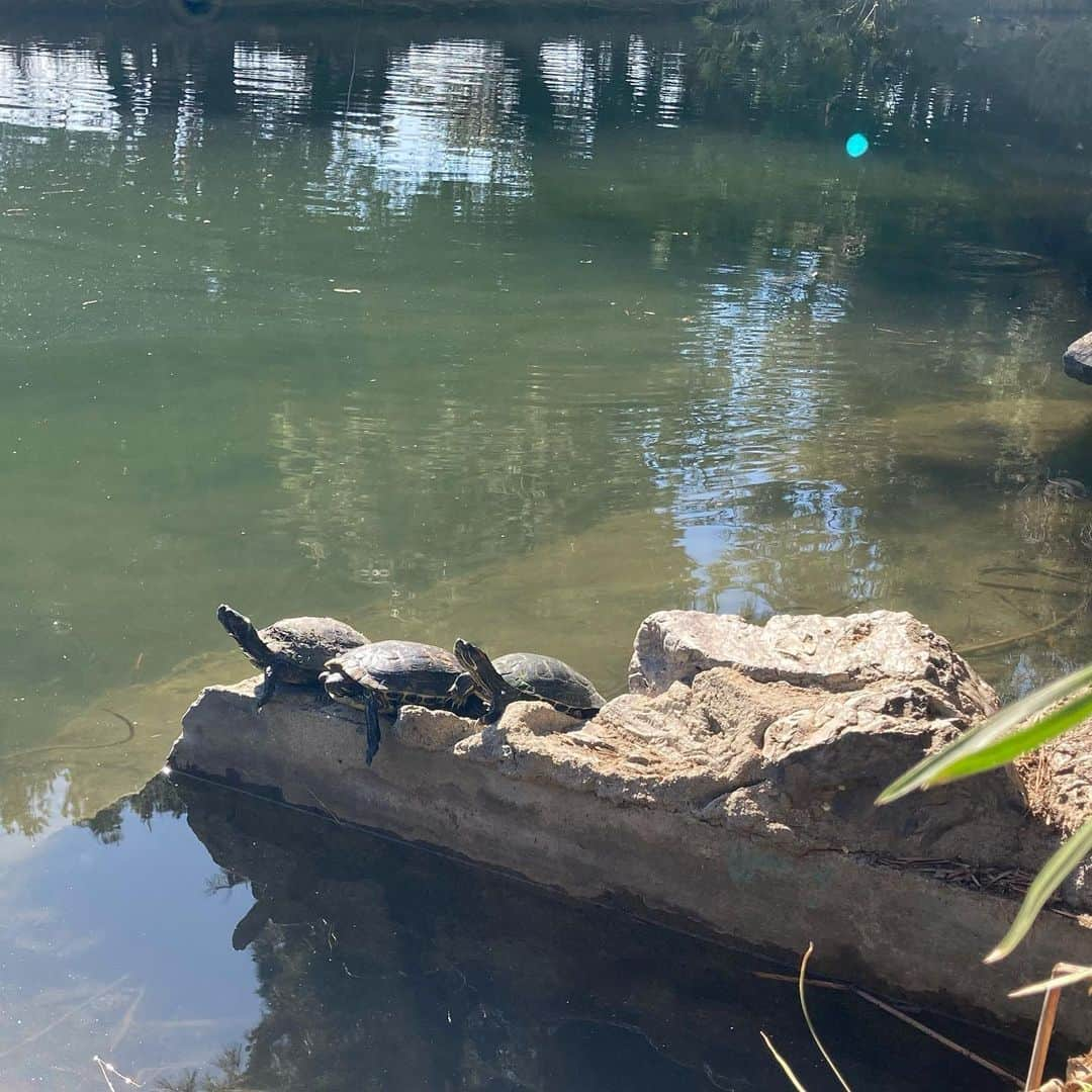 スティーヴン・ユァンさんのインスタグラム写真 - (スティーヴン・ユァンInstagram)「🌱🌿🌳」12月7日 6時06分 - steveyeun