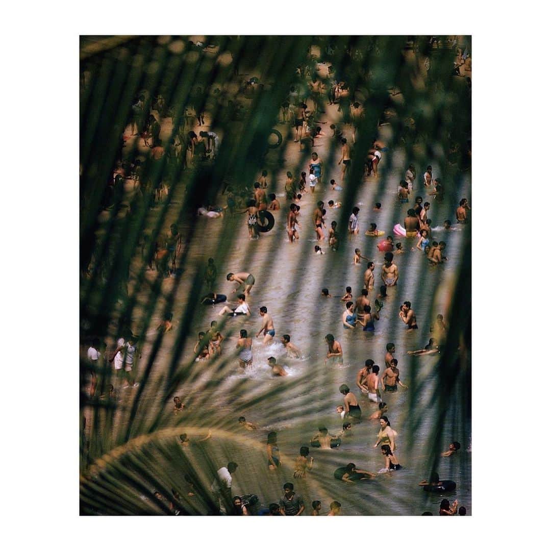ティーバッグスのインスタグラム：「Eye on resort ✨ Our newest collection drops this week. Shop select styles at the link in our bio.  #Resort21 #MISAworld   Photo by Thomas Nebbia via @slow_roads」