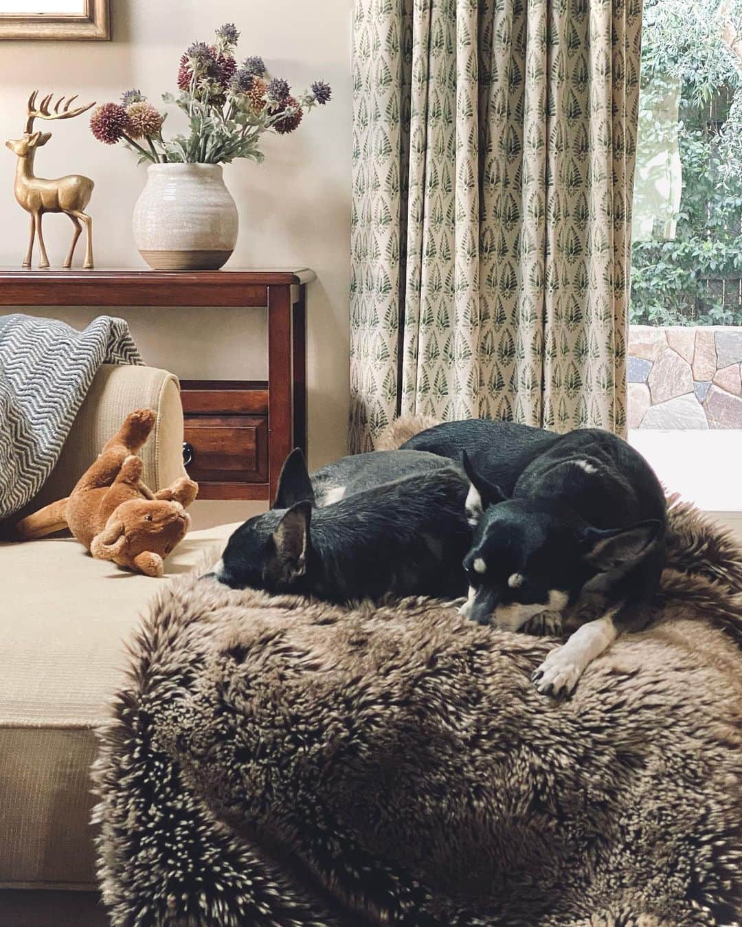 ピエール・ブーヴィエのインスタグラム：「Look at these two little snuggle buddies. 💛💛. #neffanddelilah」