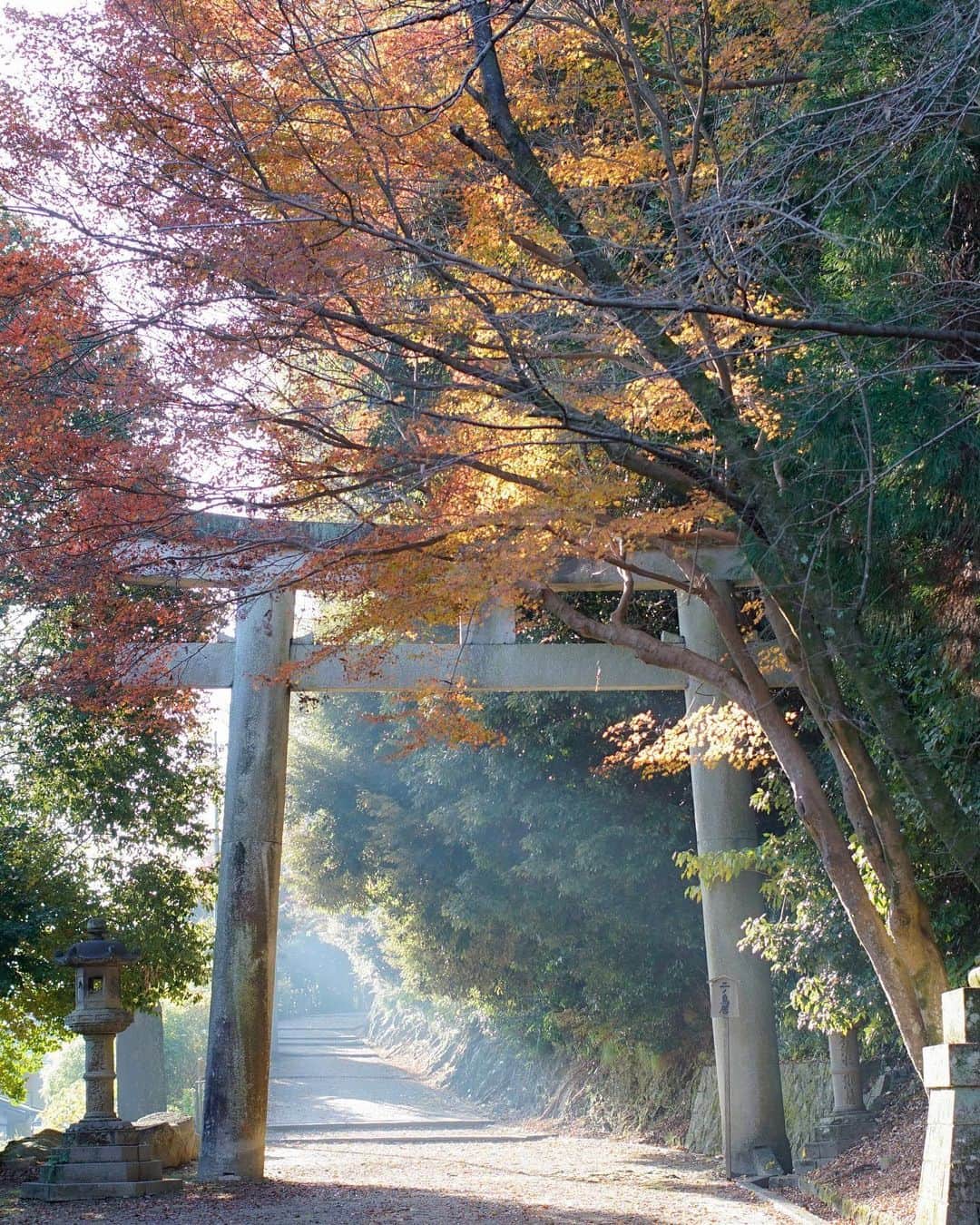 иαяα & куσтσ νιятυαℓ ωσяѕhιρさんのインスタグラム写真 - (иαяα & куσтσ νιятυαℓ ωσяѕhιρInstagram)「. winter san .  . 京都 冬の朝 寒くなって空気が乾燥した冬の朝の陽光の暖かい光が好きなんです。 . . . 〜Kyoto〜」12月7日 6時42分 - i_masanao